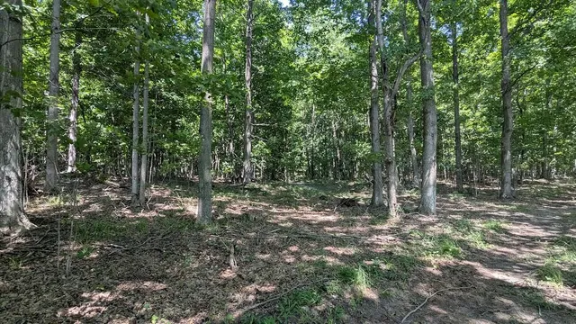 $649,900 | 7909 11 Mile Road, Bear Lake, MI 49614