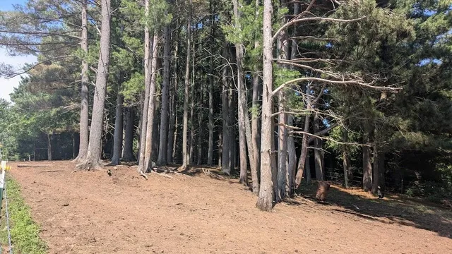 $649,900 | 7909 11 Mile Road, Bear Lake, MI 49614