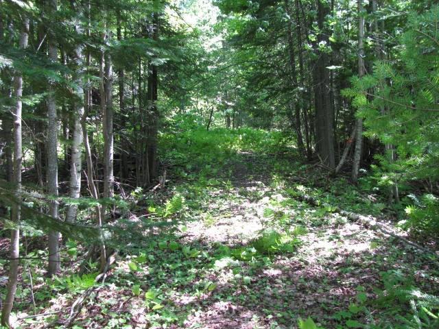 0 Stephens Road Oquossoc, ME 04964 - Photo 3 of 17 Photo