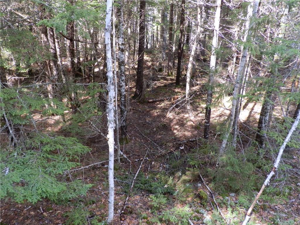 Lot 23 Lilly Pond Road Beddington, ME 04622 - Photo 16 of 29 Photo