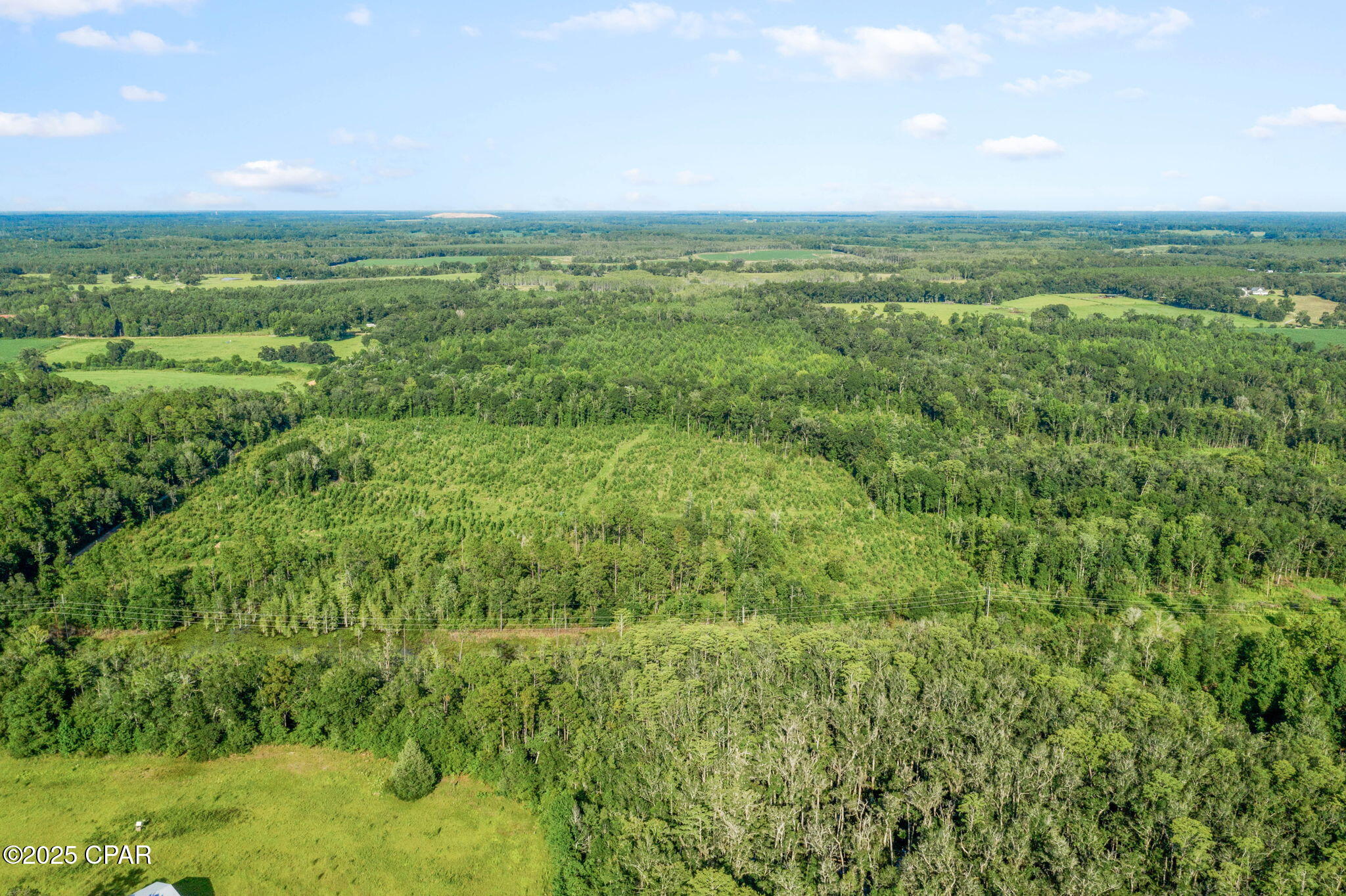 Xxx Birch Road, Unit WEST 20) Graceville, FL 32440 - Photo 11 of 18