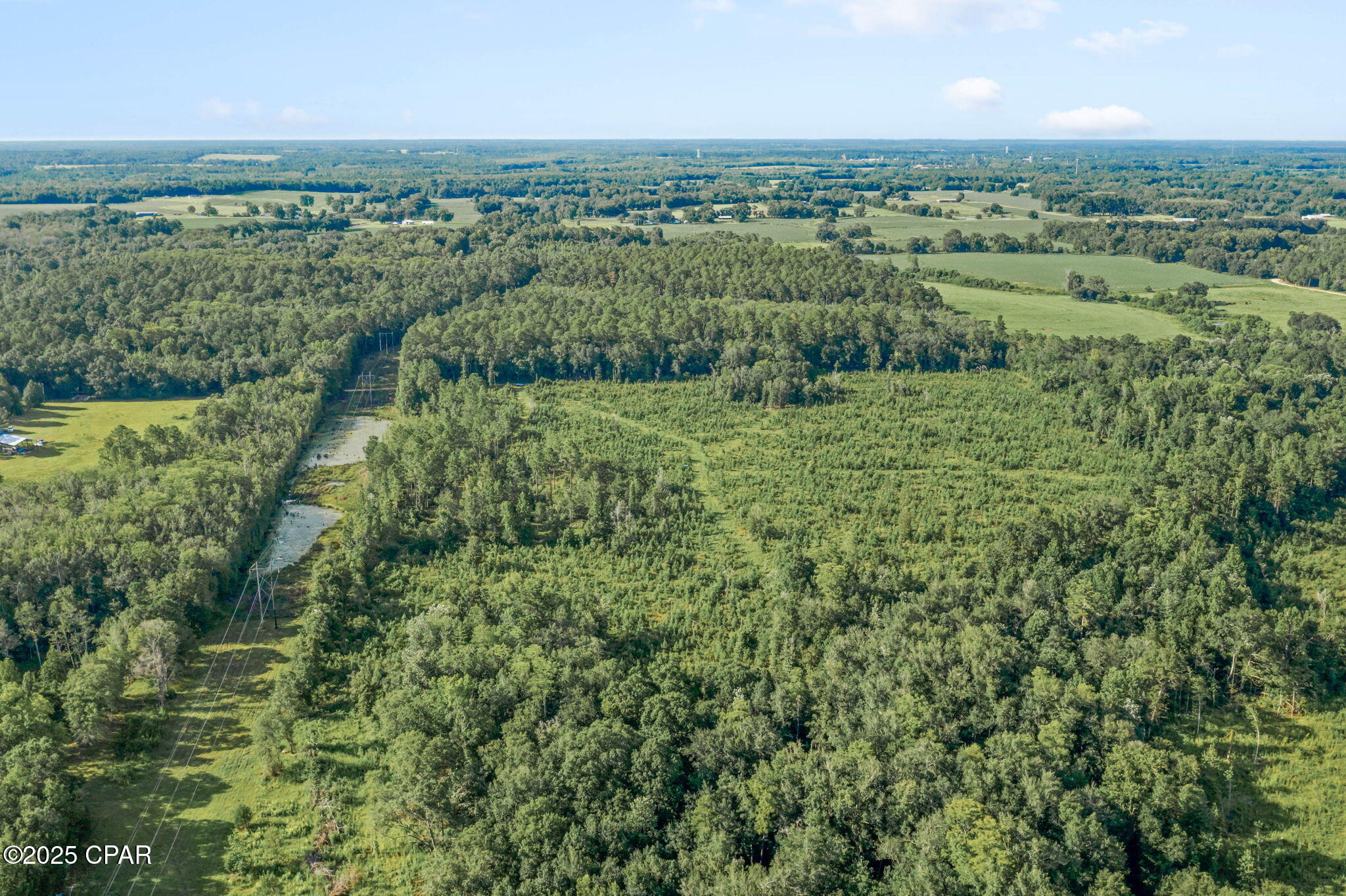 Xxx Birch Road, Unit WEST 20) Graceville, FL 32440 - Photo 13 of 18