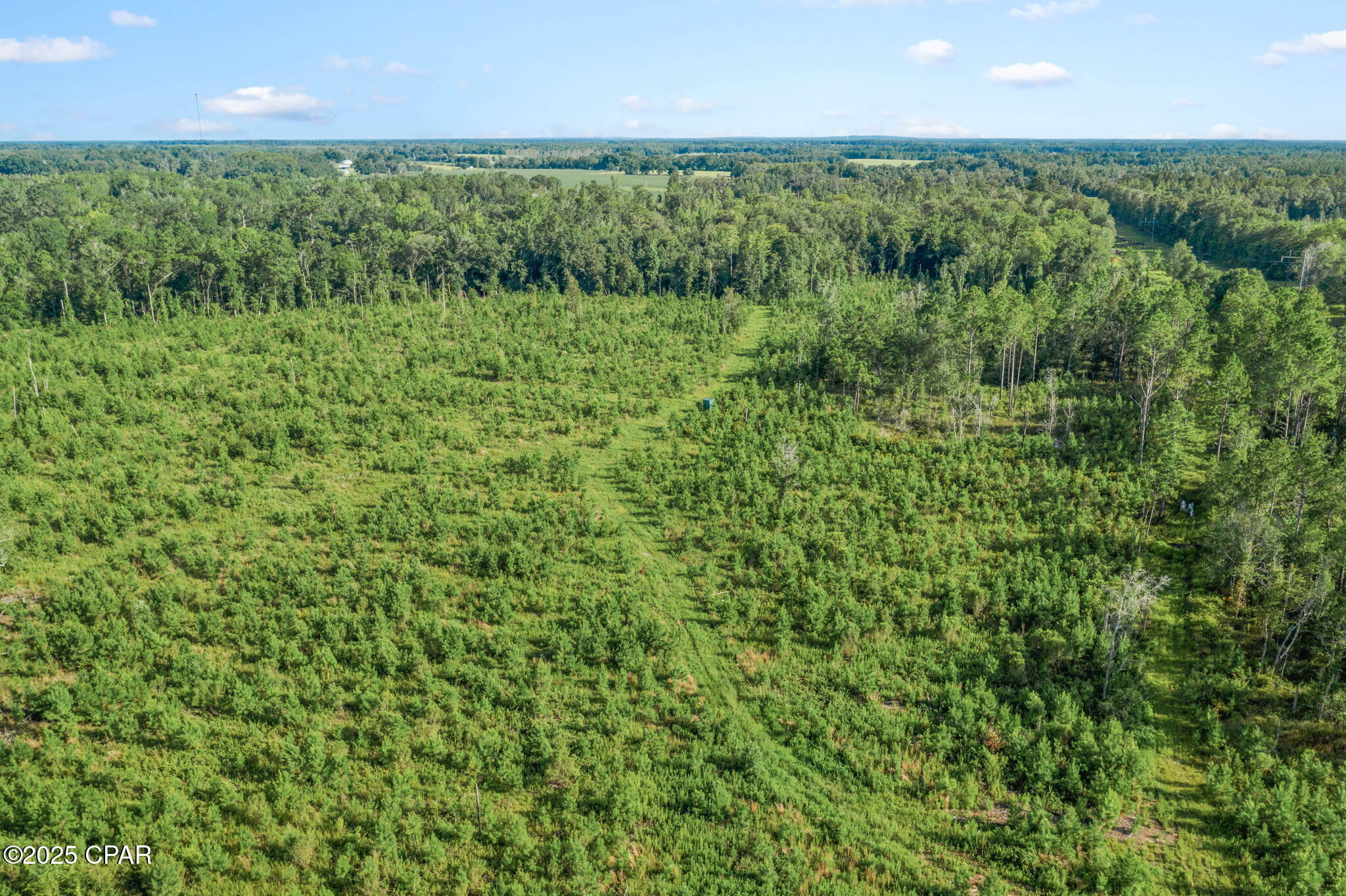 Xxx Birch Road, Unit WEST 20) Graceville, FL 32440 - Photo 15 of 18