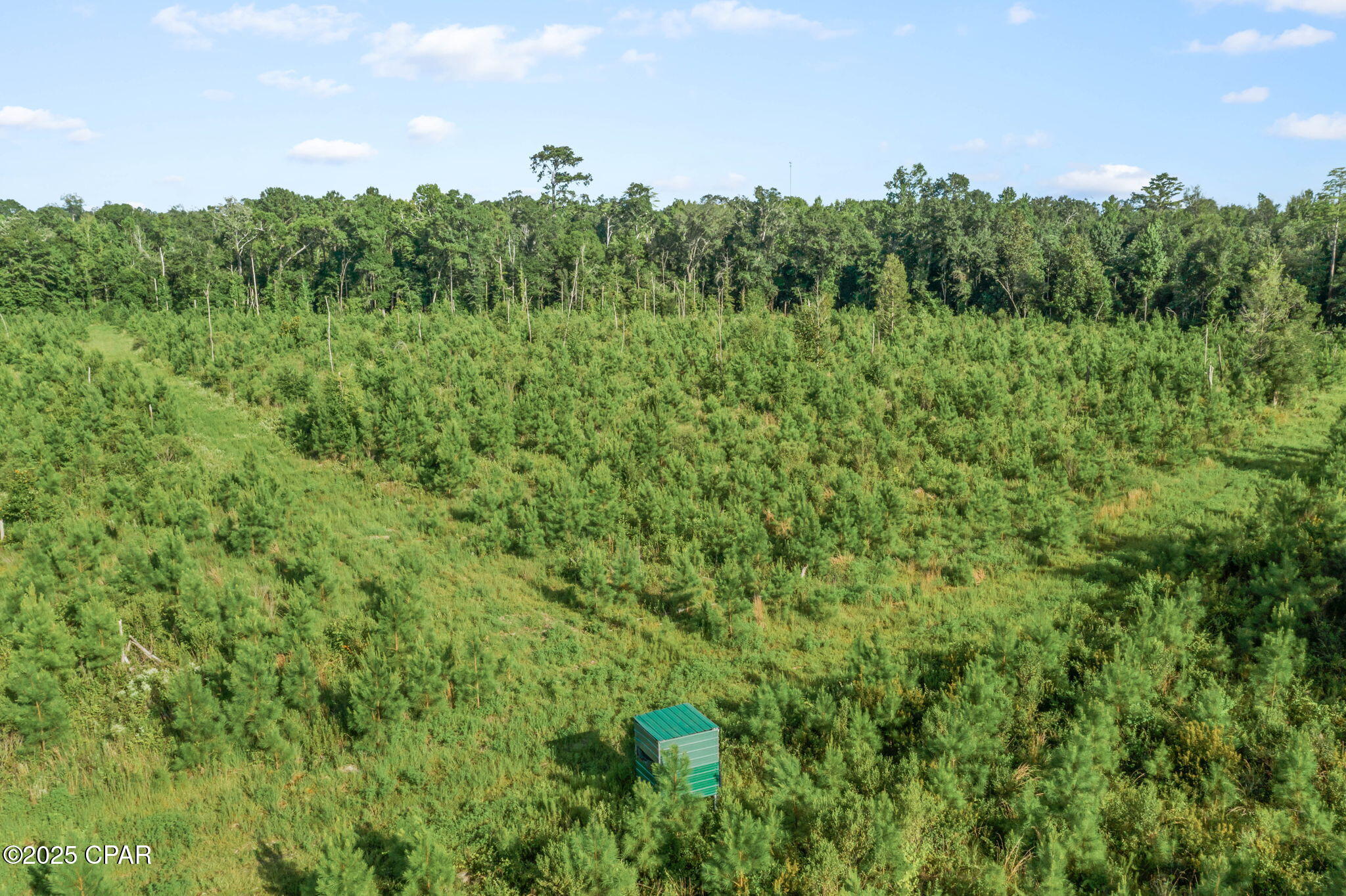 Xxx Birch Road, Unit WEST 20) Graceville, FL 32440 - Photo 17 of 18