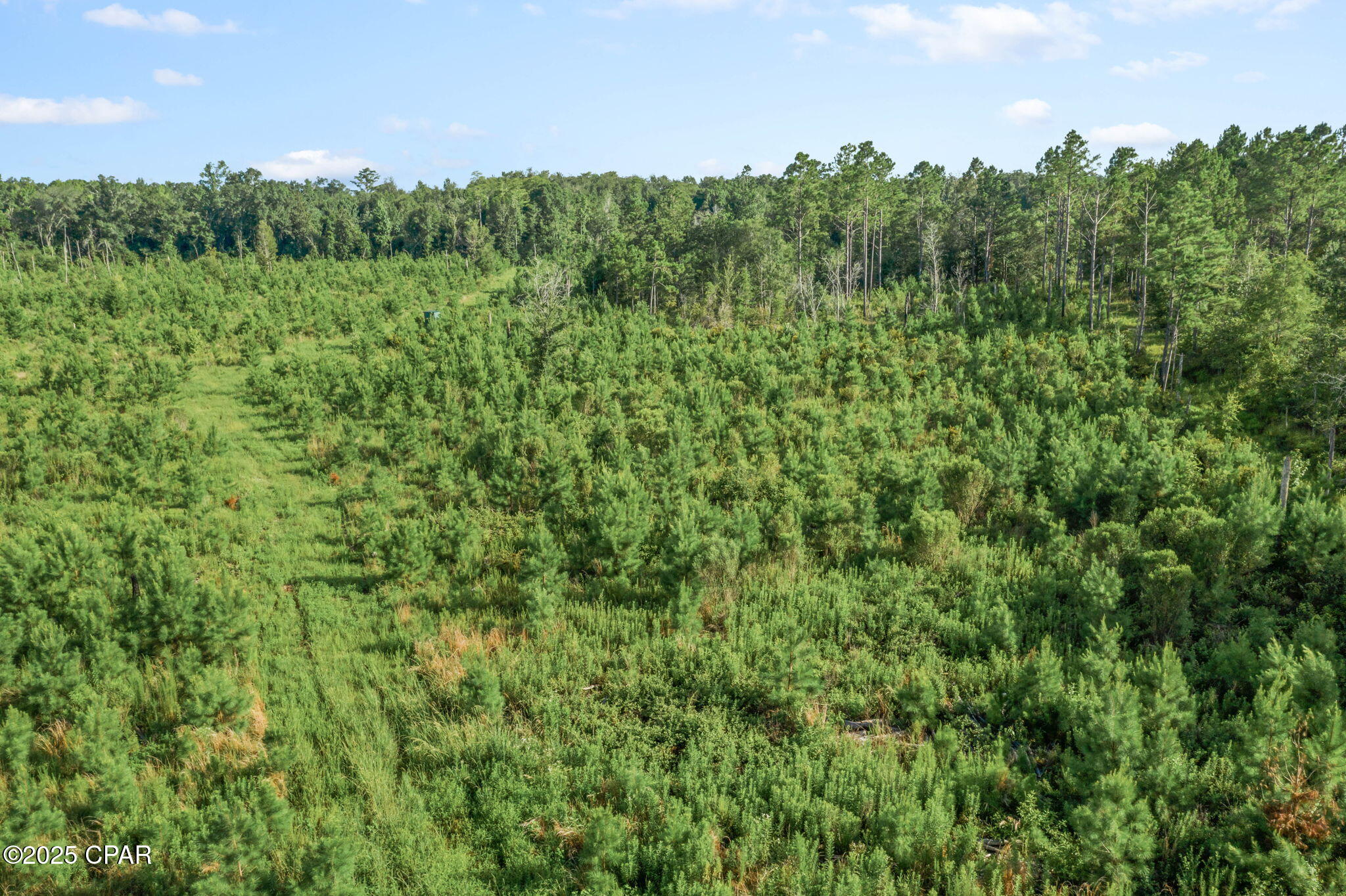 Xxx Birch Road, Unit WEST 20) Graceville, FL 32440 - Photo 18 of 18