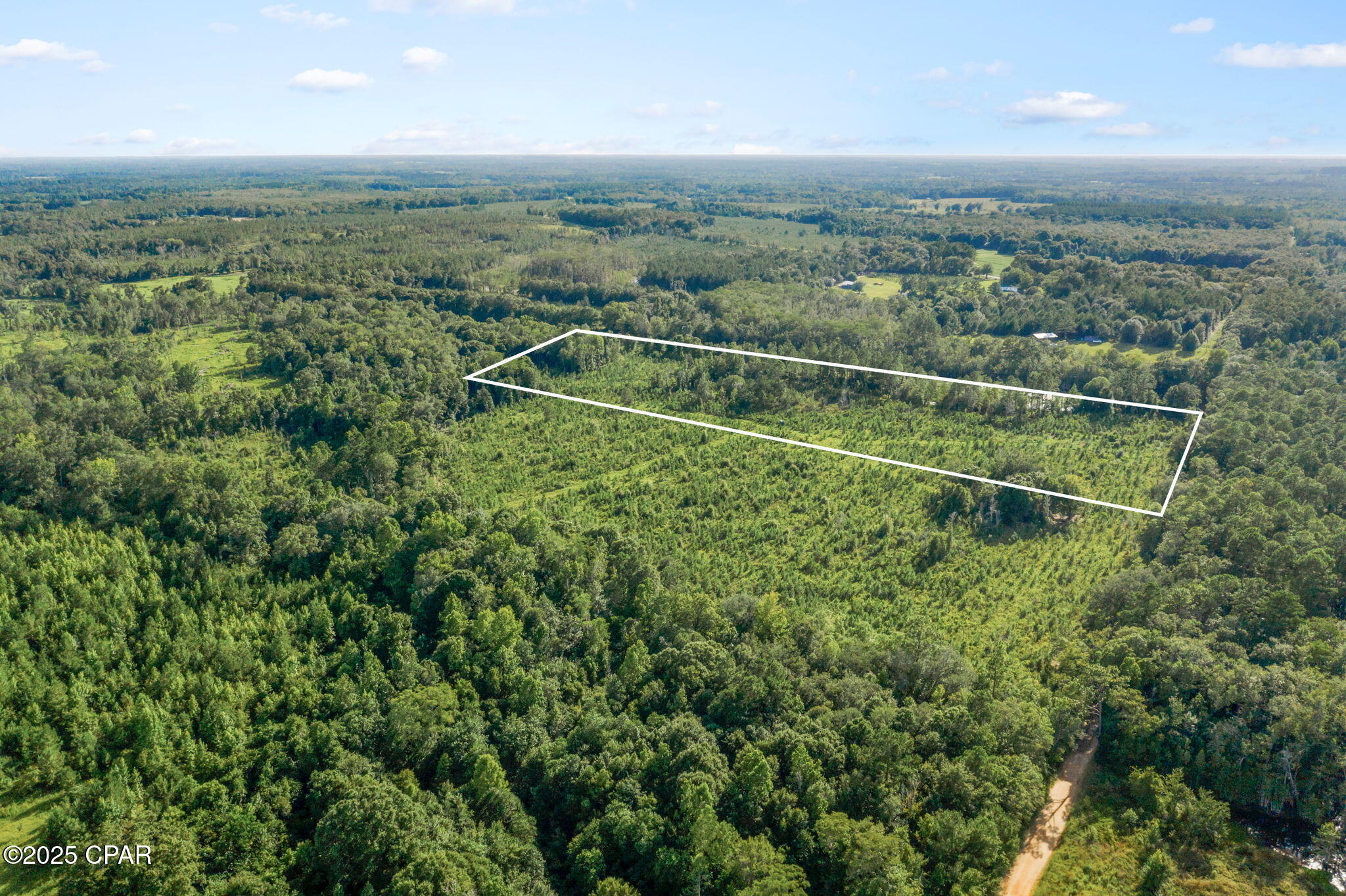 Xxx Birch Road, Unit WEST 20) Graceville, FL 32440 - Photo 2 of 18