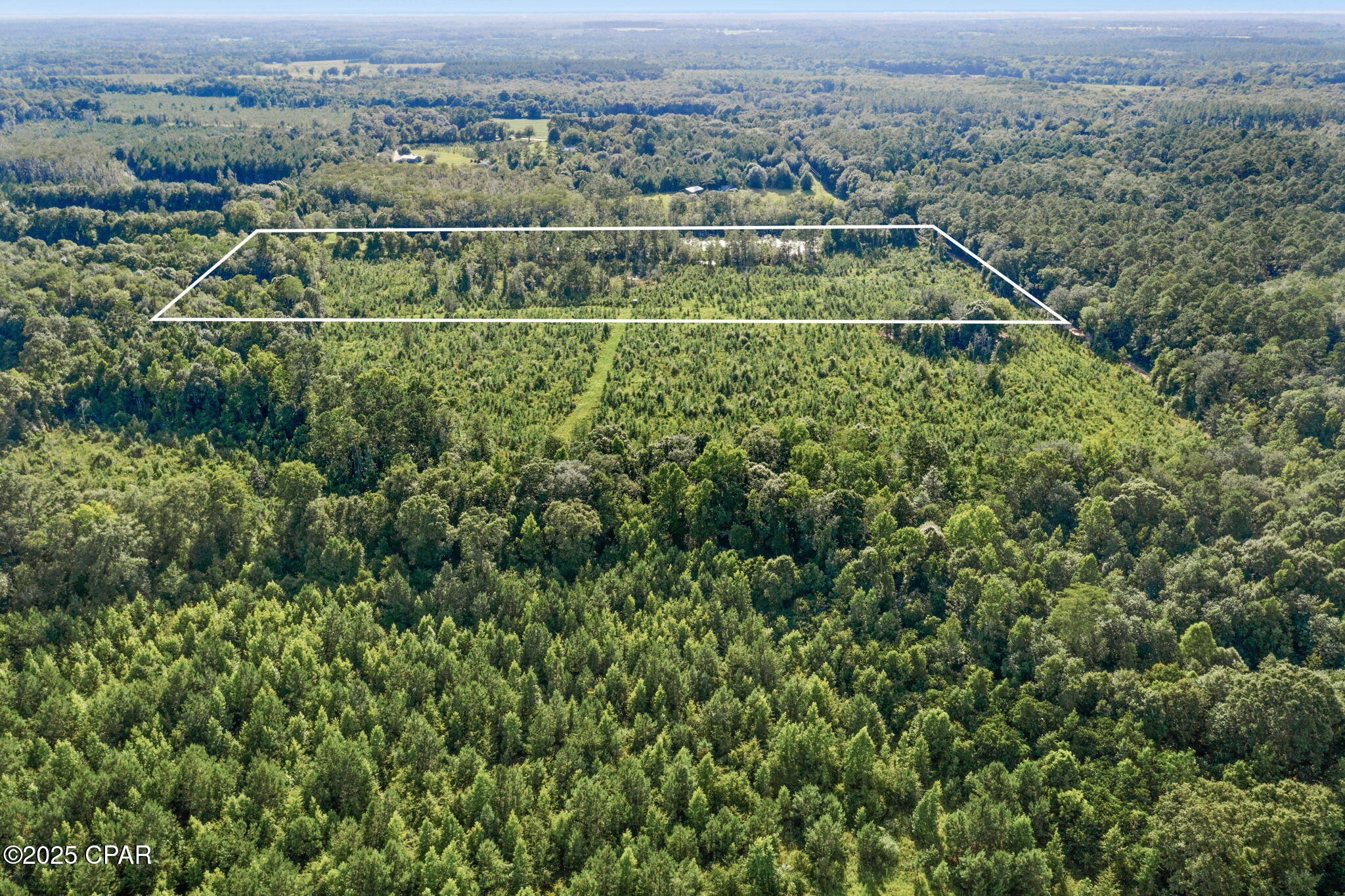 Xxx Birch Road, Unit WEST 20) Graceville, FL 32440 - Photo 3 of 18