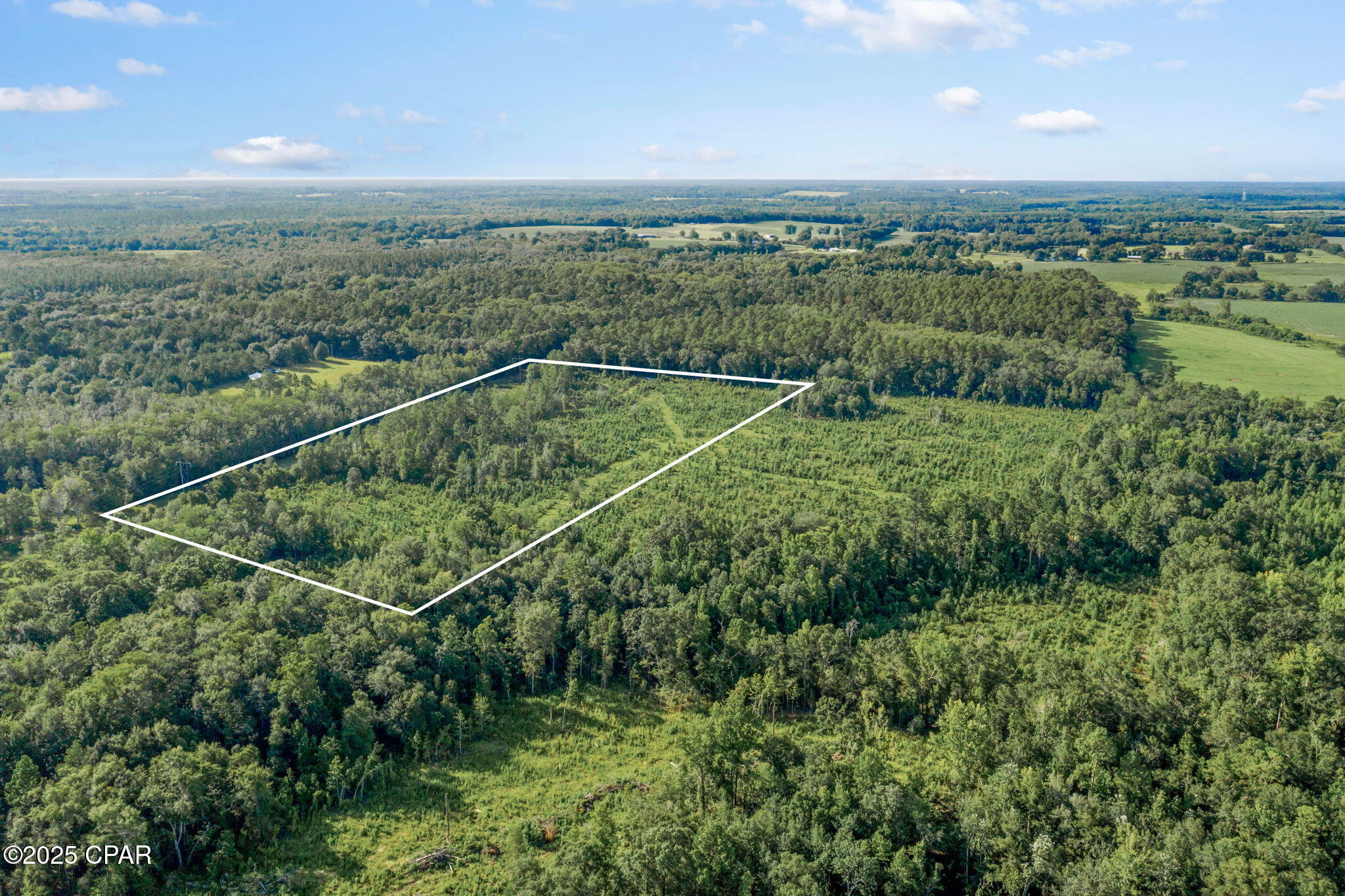 Xxx Birch Road, Unit WEST 20) Graceville, FL 32440 - Photo 4 of 18