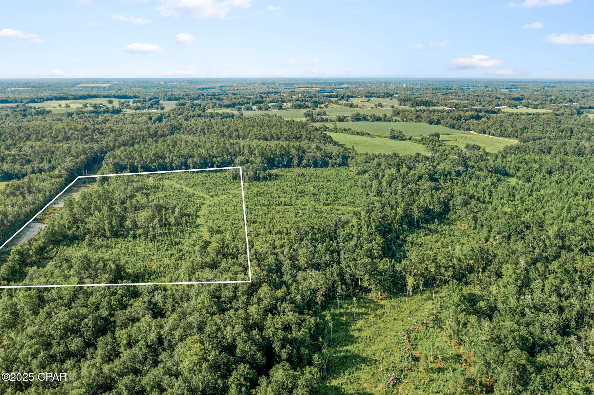 Xxx Birch Road, Unit WEST 20) Graceville, FL 32440 - Photo 5 of 18