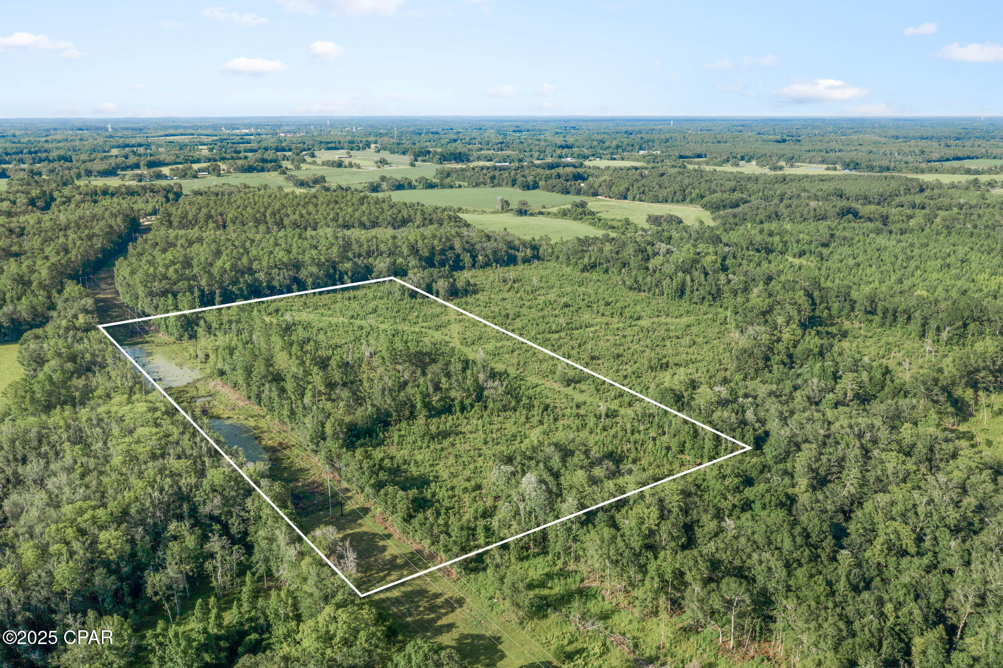 Xxx Birch Road, Unit WEST 20) Graceville, FL 32440 - Photo 6 of 18