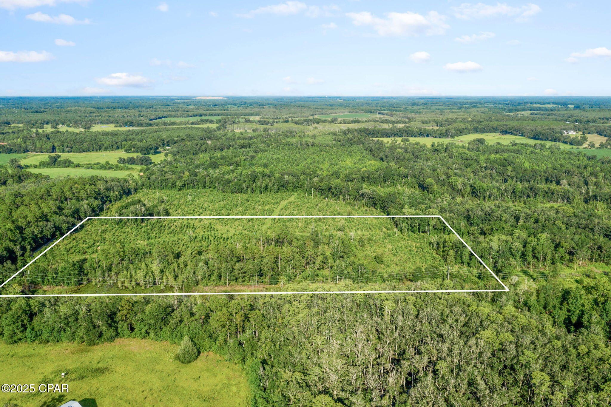 Xxx Birch Road, Unit WEST 20) Graceville, FL 32440 - Photo 7 of 18