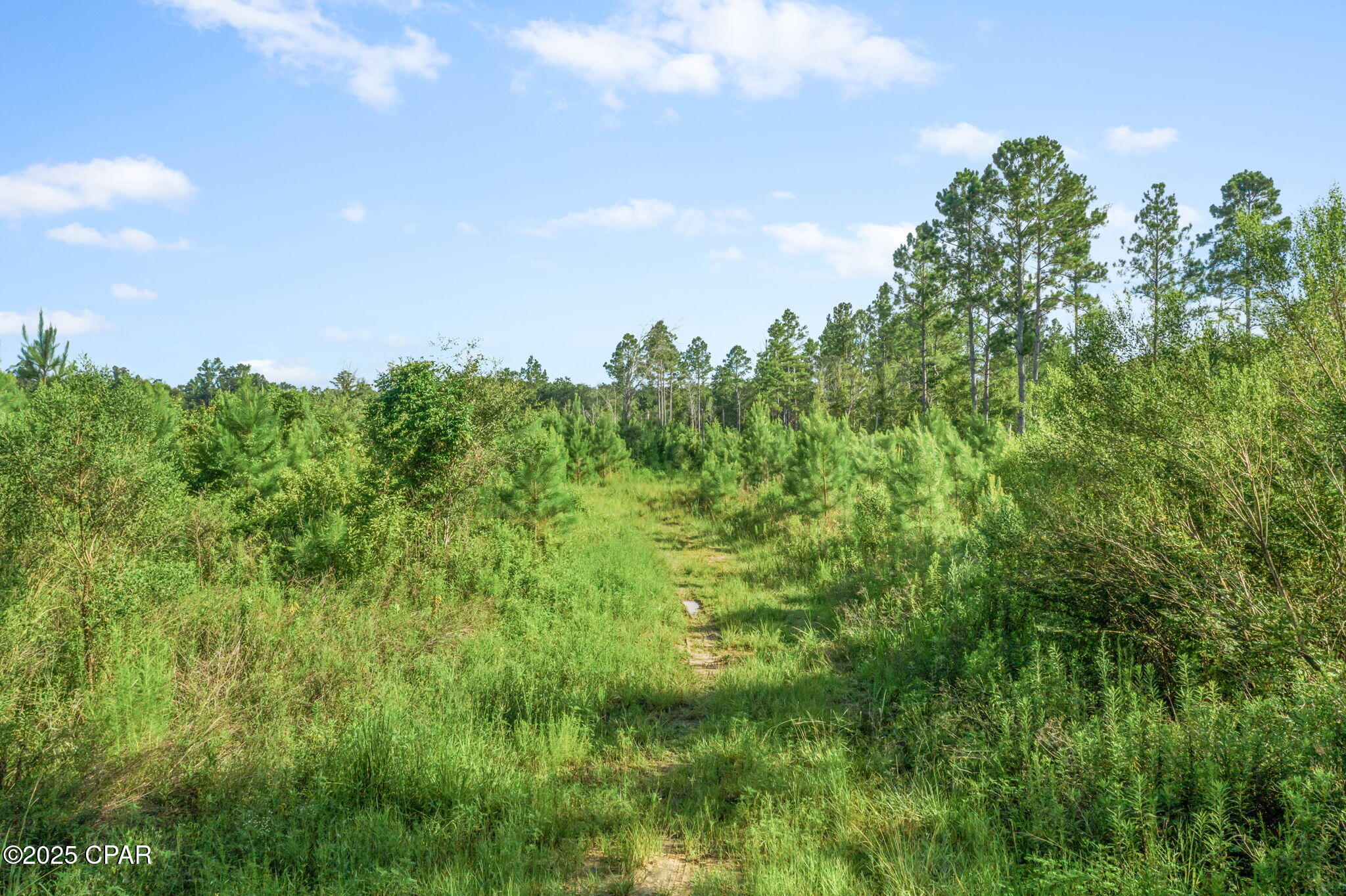 Xxx Birch Road, Unit WEST 20) Graceville, FL 32440 - Photo 8 of 18