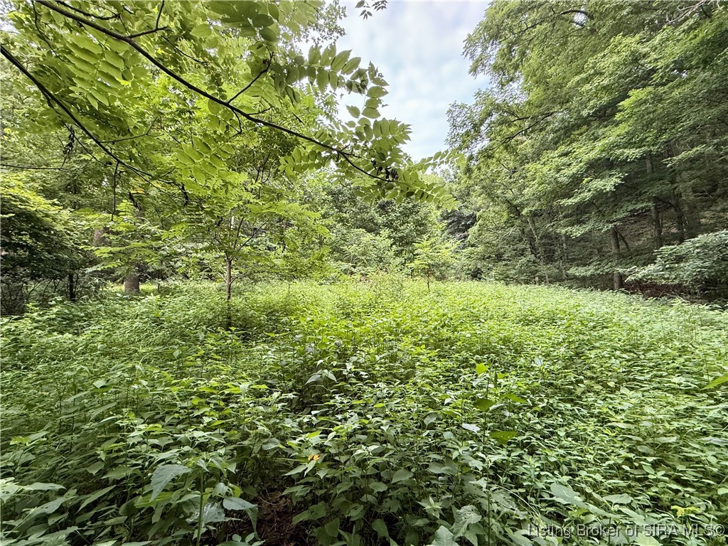 2032 West Goat Hollow Road Vallonia, IN 47281 - Photo 8 of 39