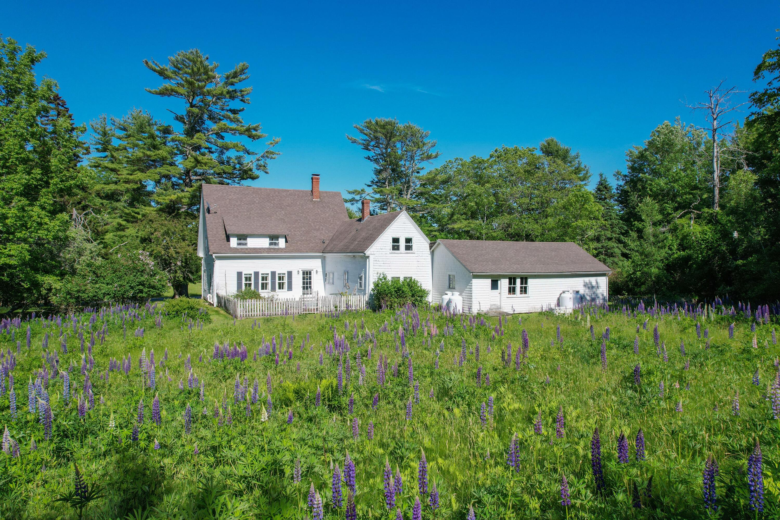 707 Newbury Neck Road Surry, ME 04684 - Photo 46 of 47