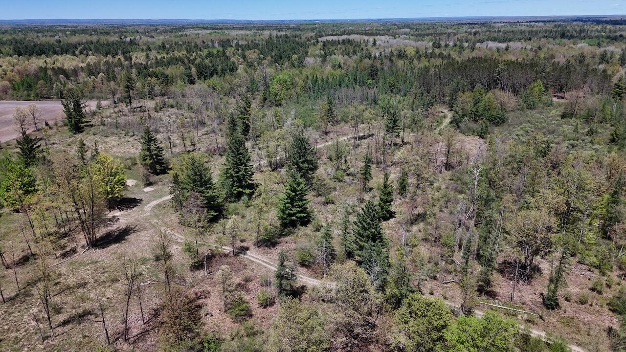 La Grant Road Alger, MI 48610 - Photo 41 of 46 032