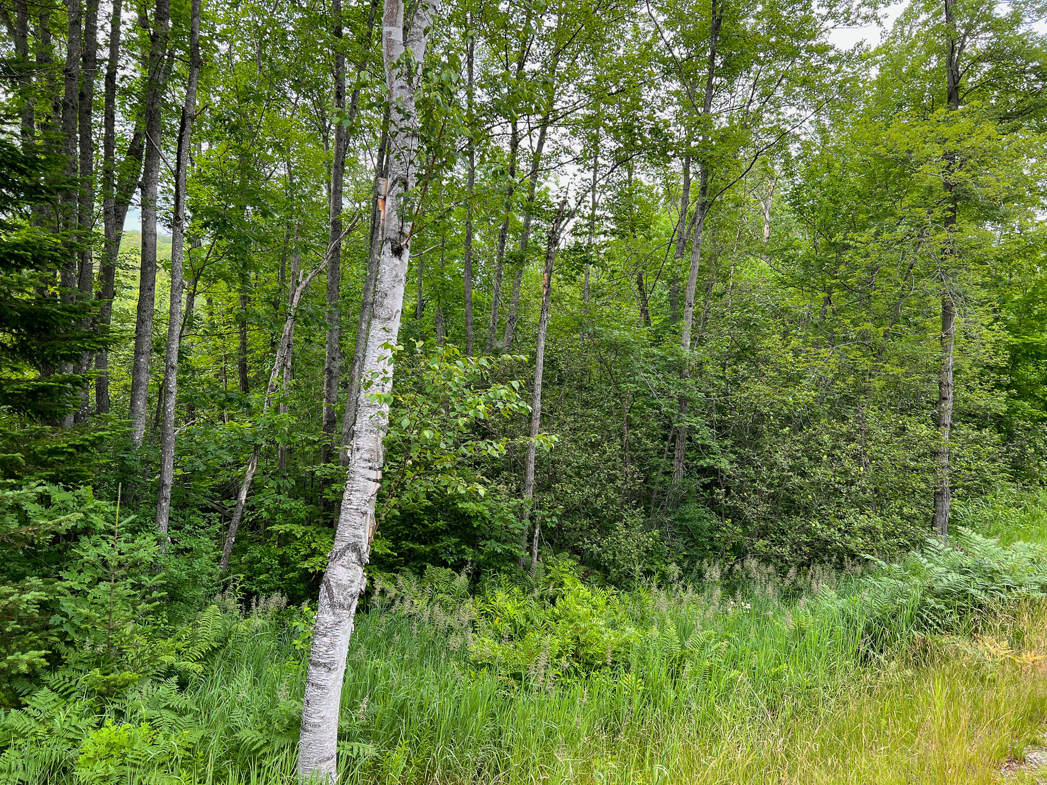 Lot 72-1 Hatstat Road Bethel, ME 04217 - Photo 17 of 18 IMG_7932