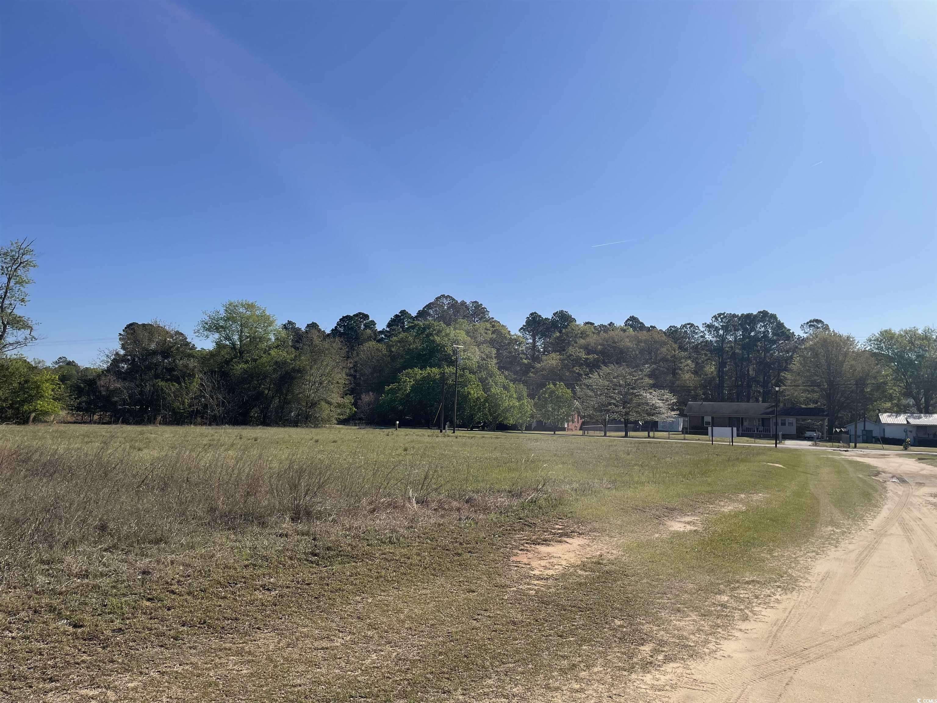Tbd Mt Calvary Road Dillon, SC 29536 - Photo 6 of 7 Gallery Image 6