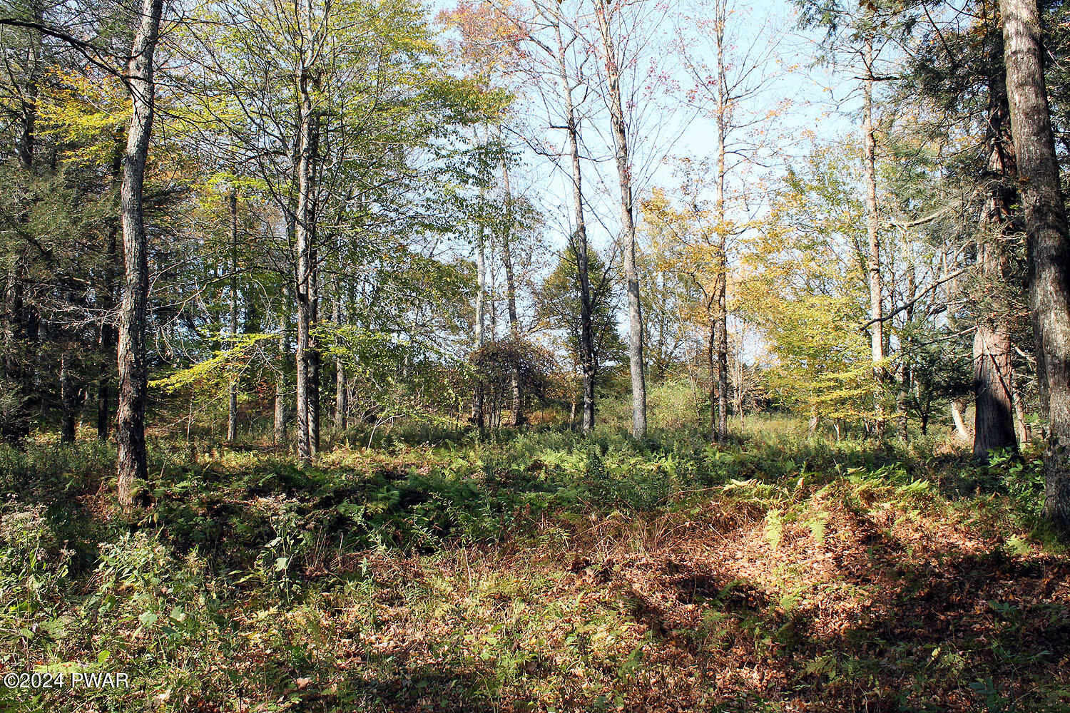 Baldwin Hill Road Damascus, PA 18415 - Photo 16 of 16 Beautiful land