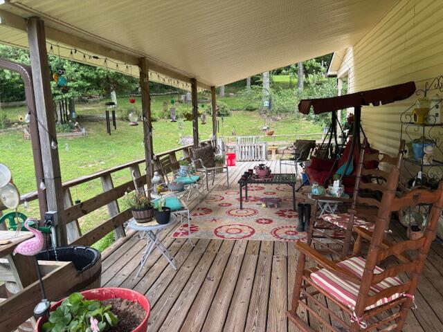 331 Briley Road Spring City, TN 37381 - Photo 30 of 32 IMG_0717