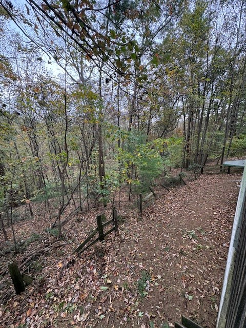107 Fox Glen Road Fancy Gap, VA 24328 - Photo 16 of 18 Gallery Image 16