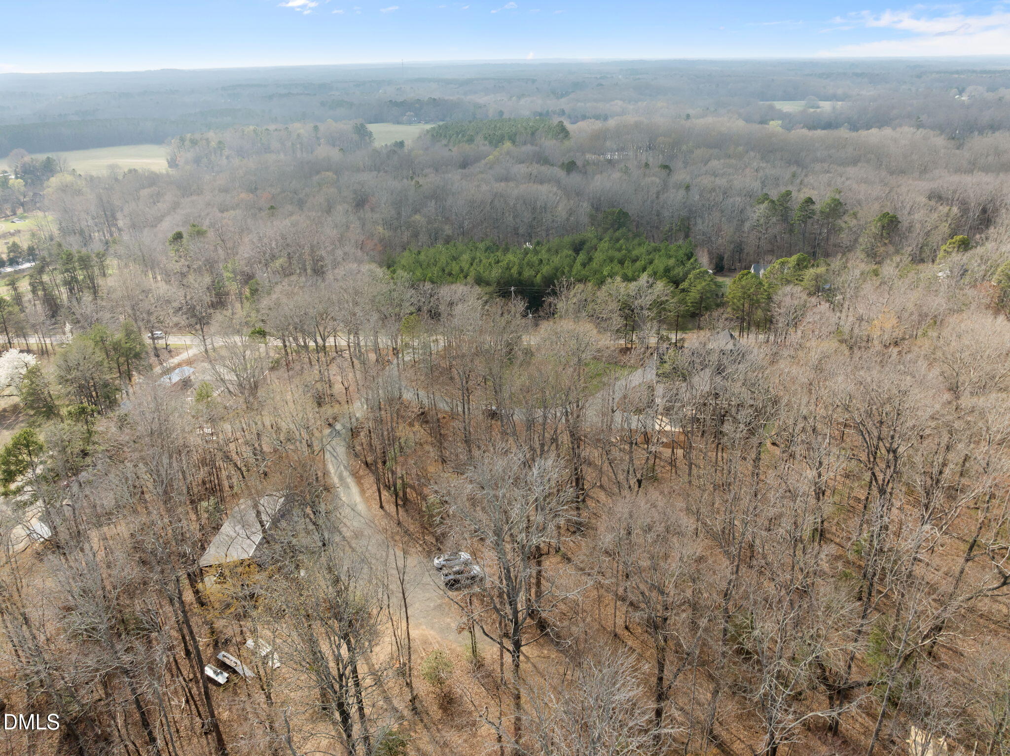 6450 Moores Mill Road Rougemont, NC 27572 - Photo 64 of 66 a view of a dry yard in middle of forest