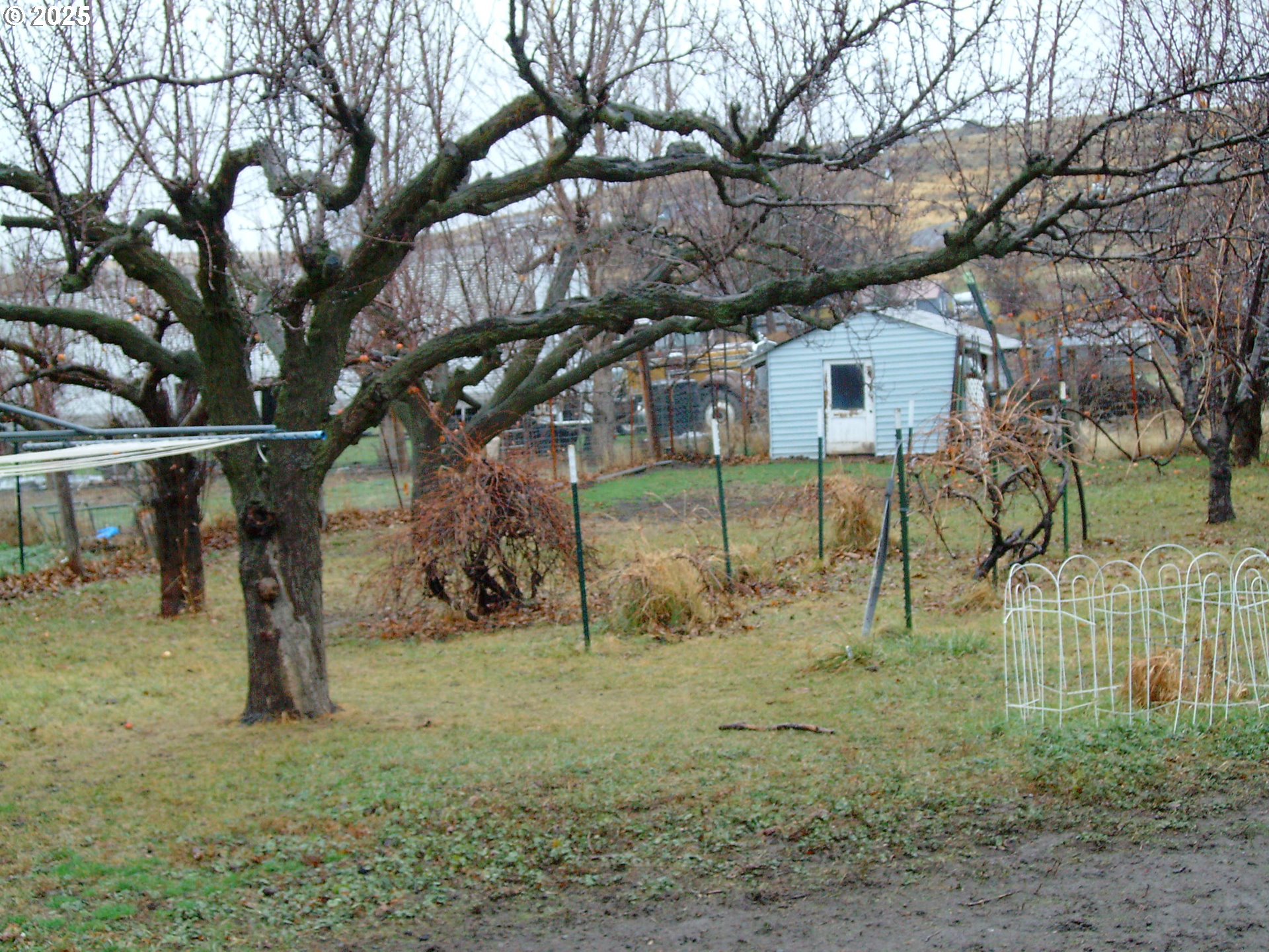 527 South Dewey Street Union, OR 97883 - Photo 4 of 21 a view of outdoor space
