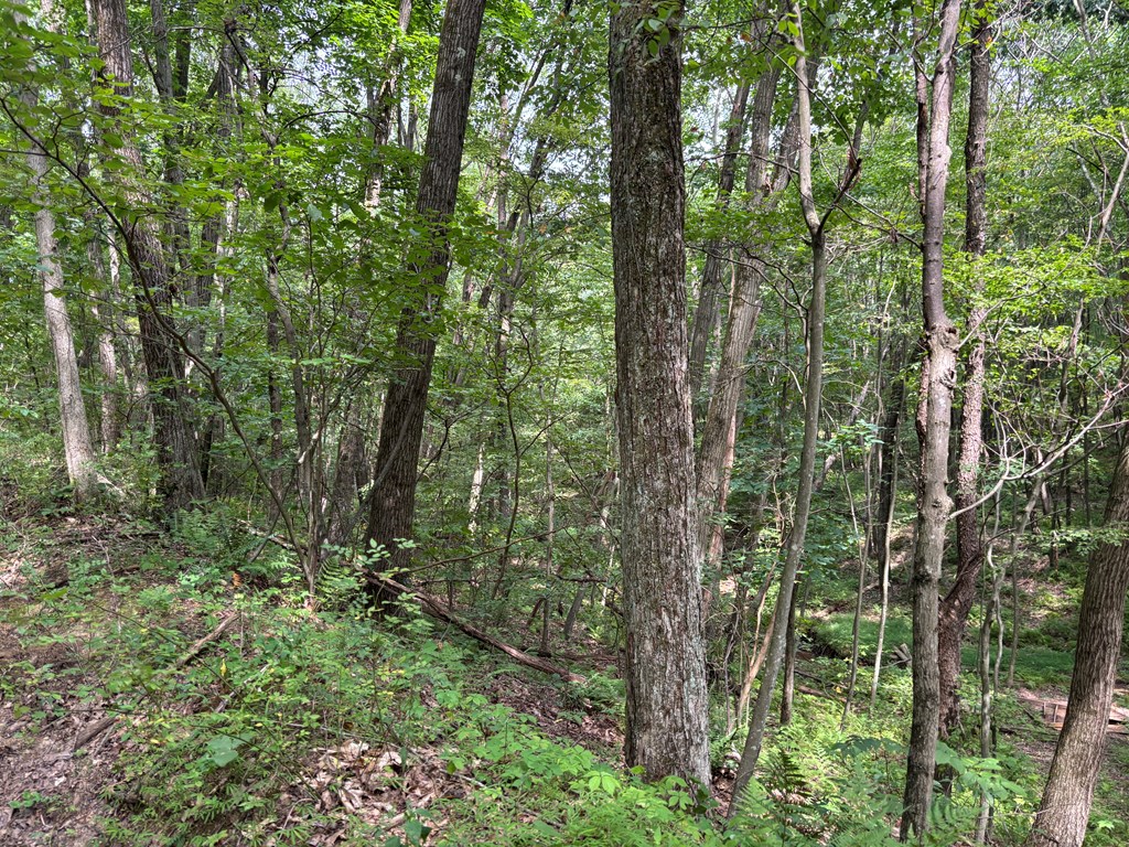 0 Church Road Parker, PA 16049 - Photo 2 of 6