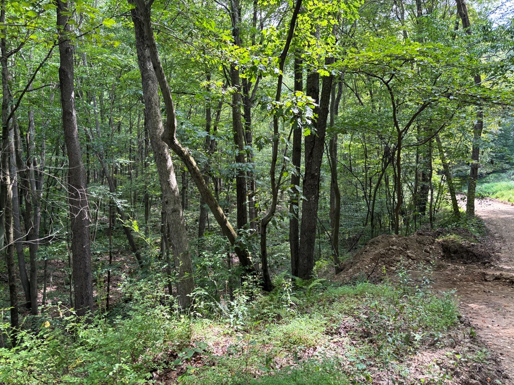 0 Church Road Parker, PA 16049 - Photo 3 of 6