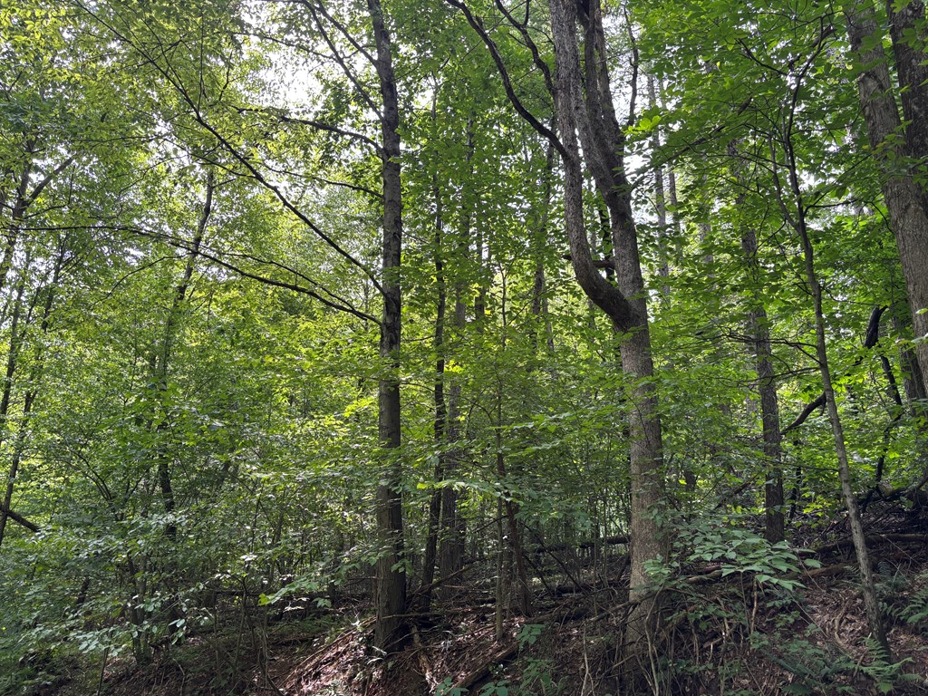 0 Church Road Parker, PA 16049 - Photo 4 of 6