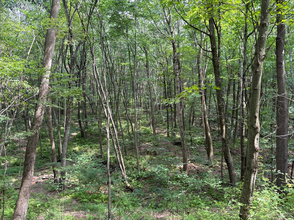 0 Church Road Parker, PA 16049 - Photo 6 of 6