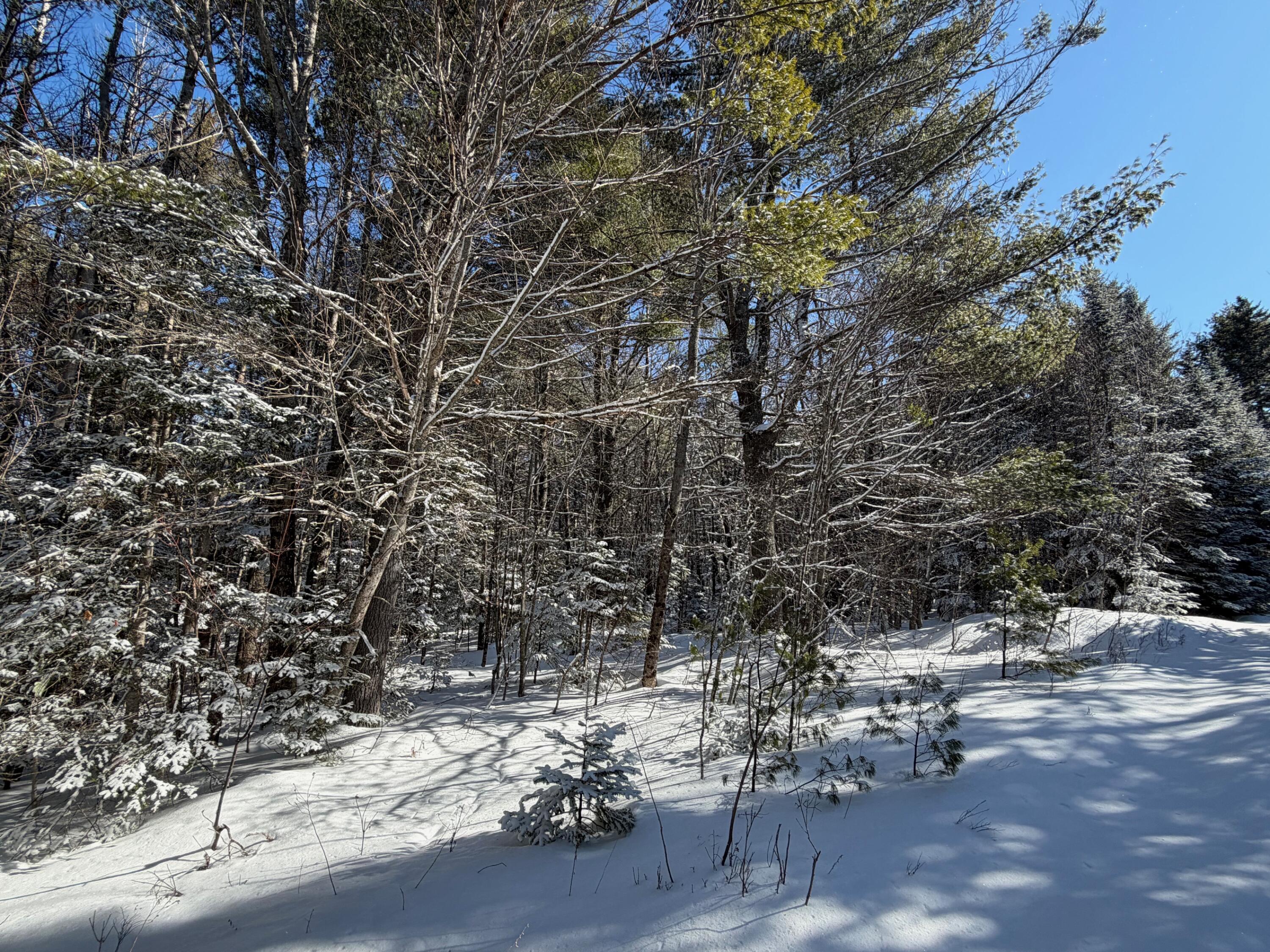 1 E Road Greenville, ME 04441 - Photo 11 of 19 IMG_0047