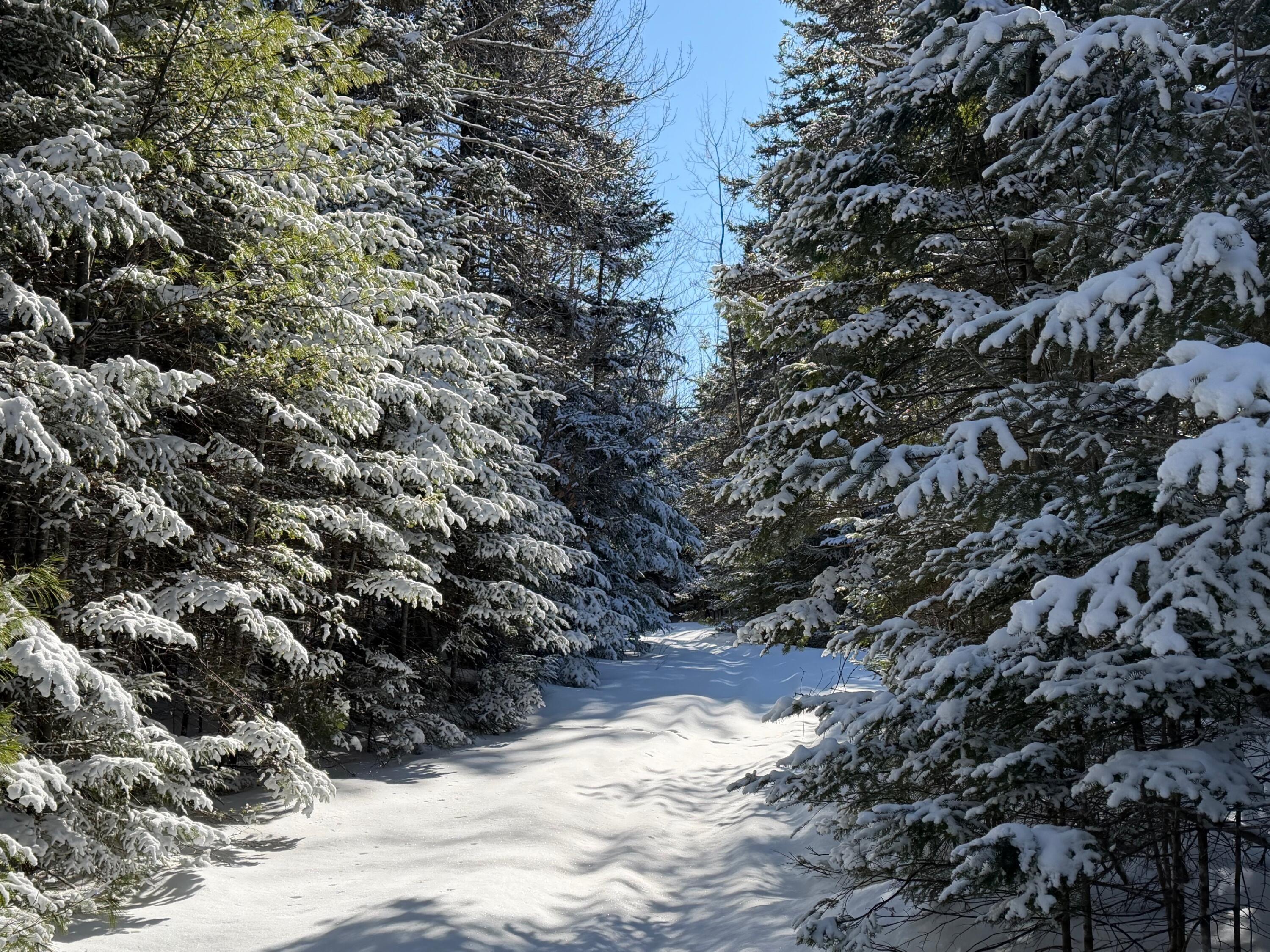 1 E Road Greenville, ME 04441 - Photo 12 of 19 IMG_0050