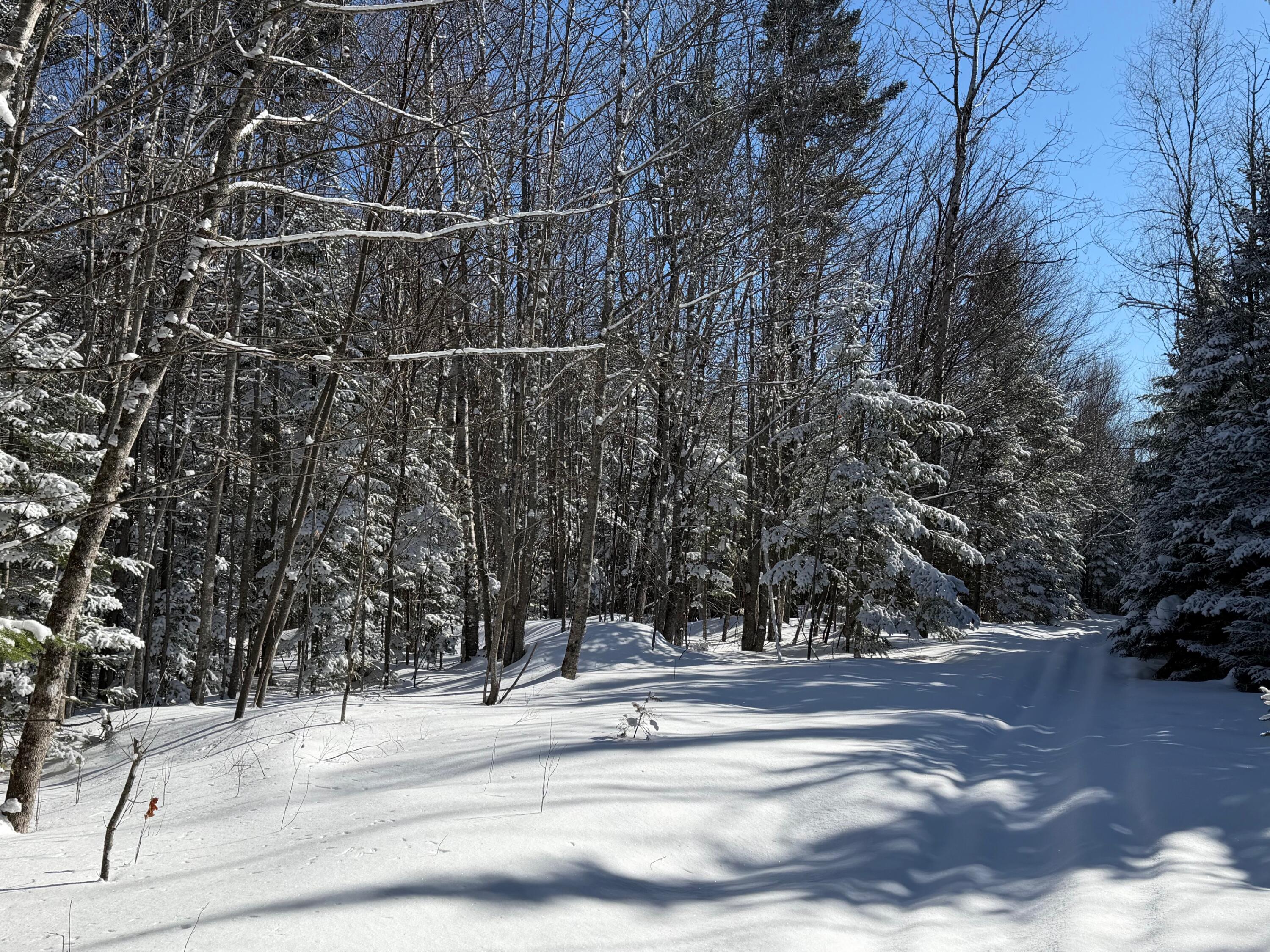 1 E Road Greenville, ME 04441 - Photo 13 of 19 IMG_0051