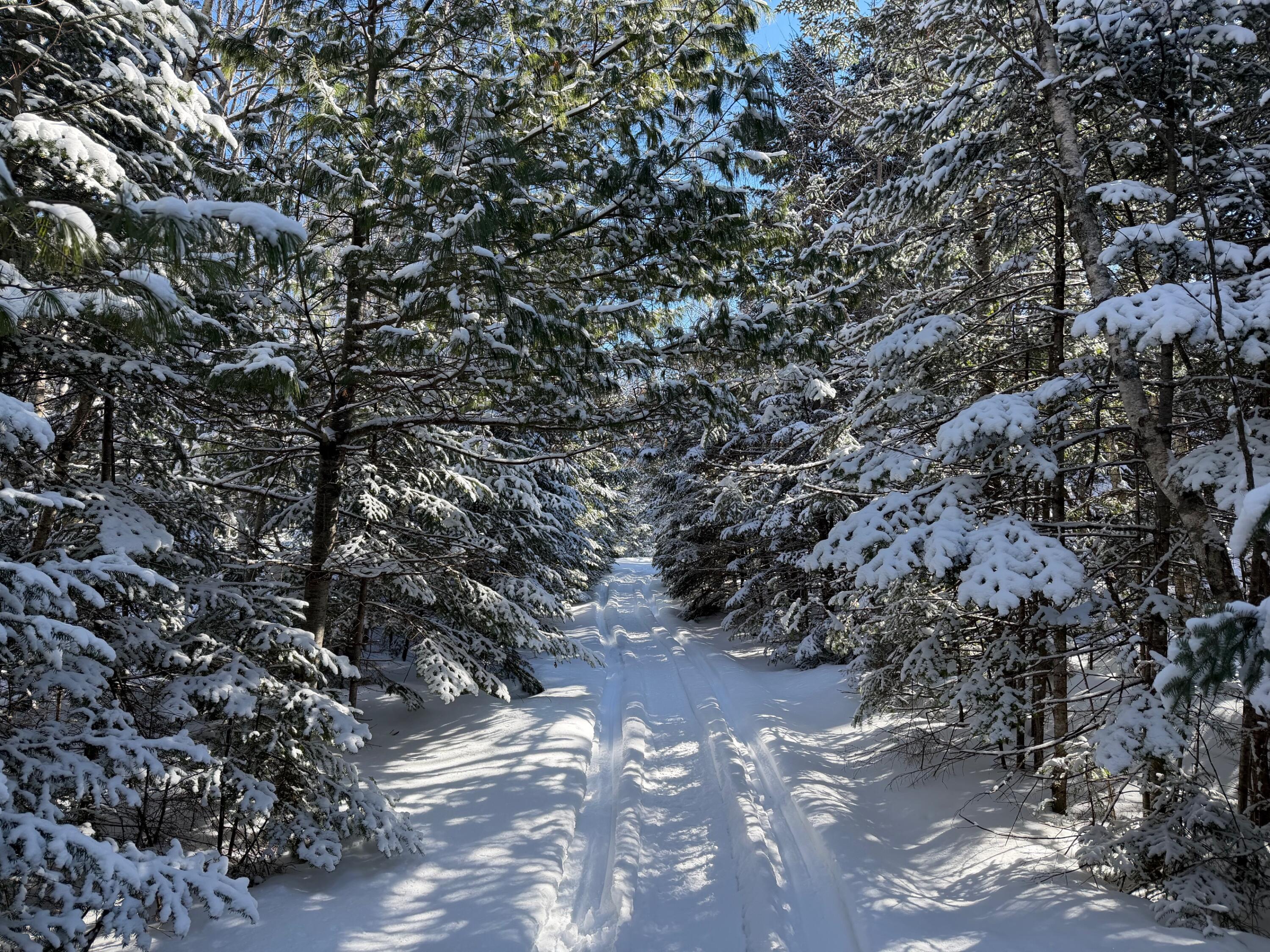 1 E Road Greenville, ME 04441 - Photo 14 of 19 IMG_0055