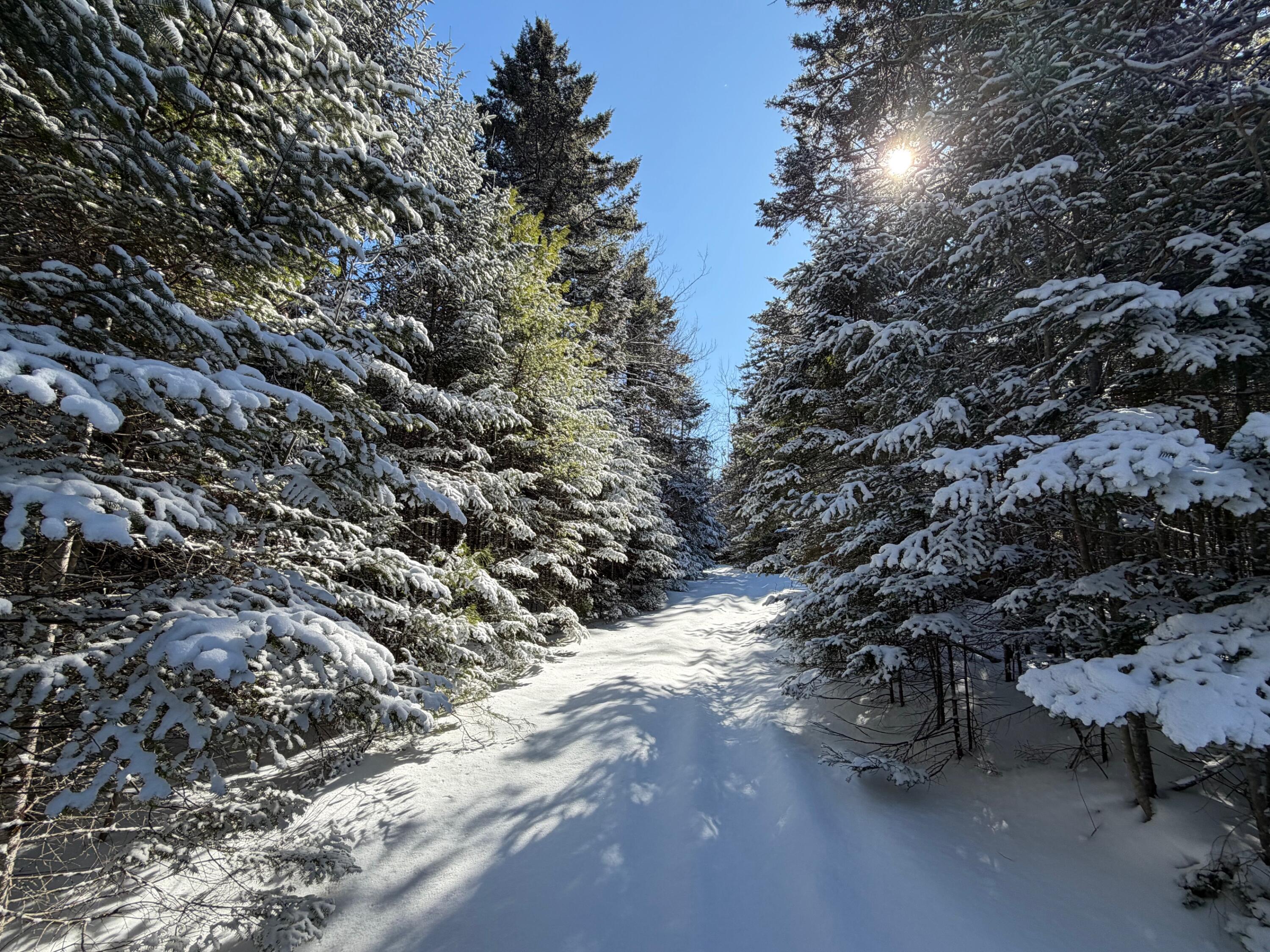 1 E Road Greenville, ME 04441 - Photo 4 of 19 IMG_0049