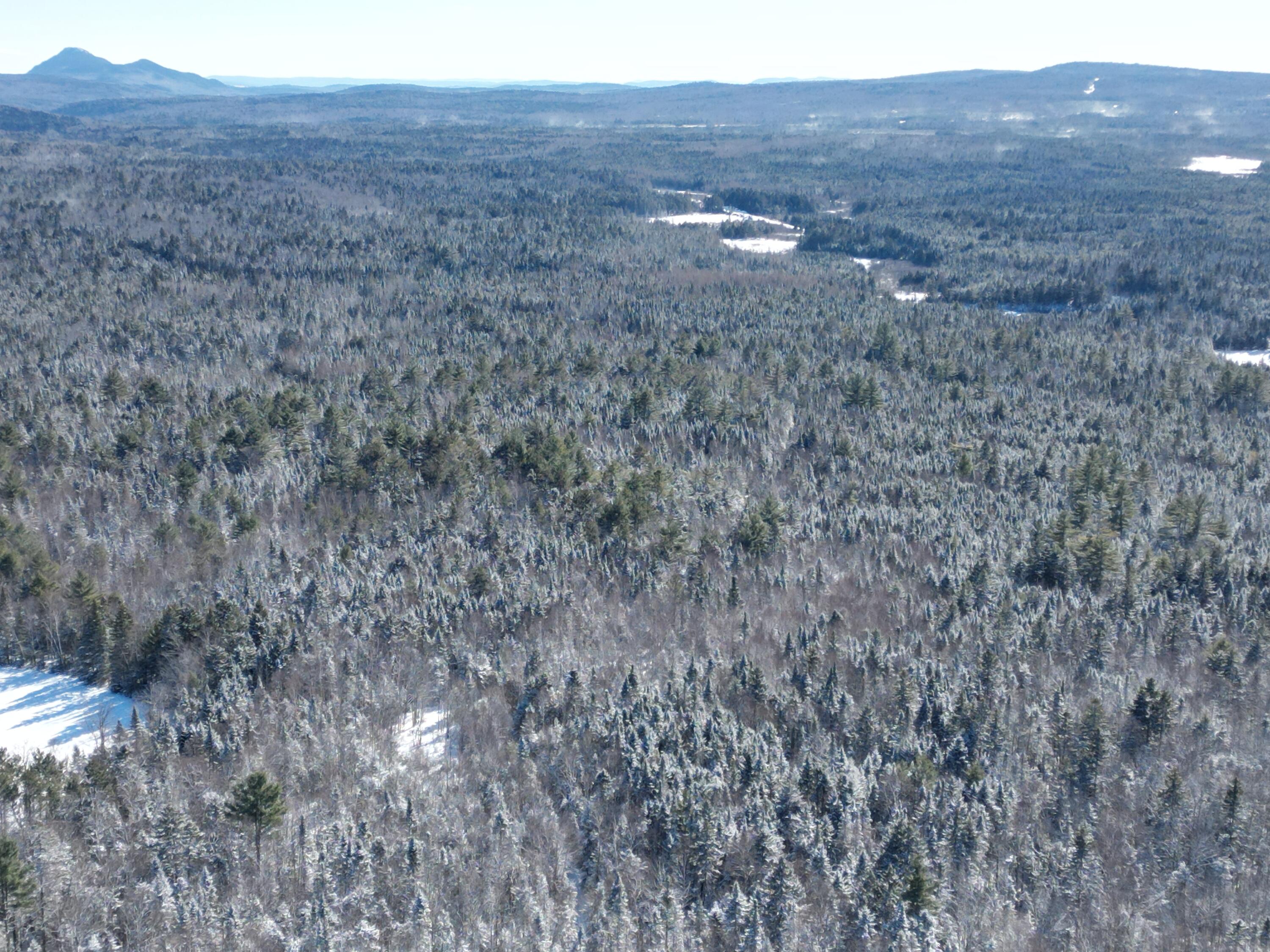 1 E Road Greenville, ME 04441 - Photo 5 of 19 DJI_0652