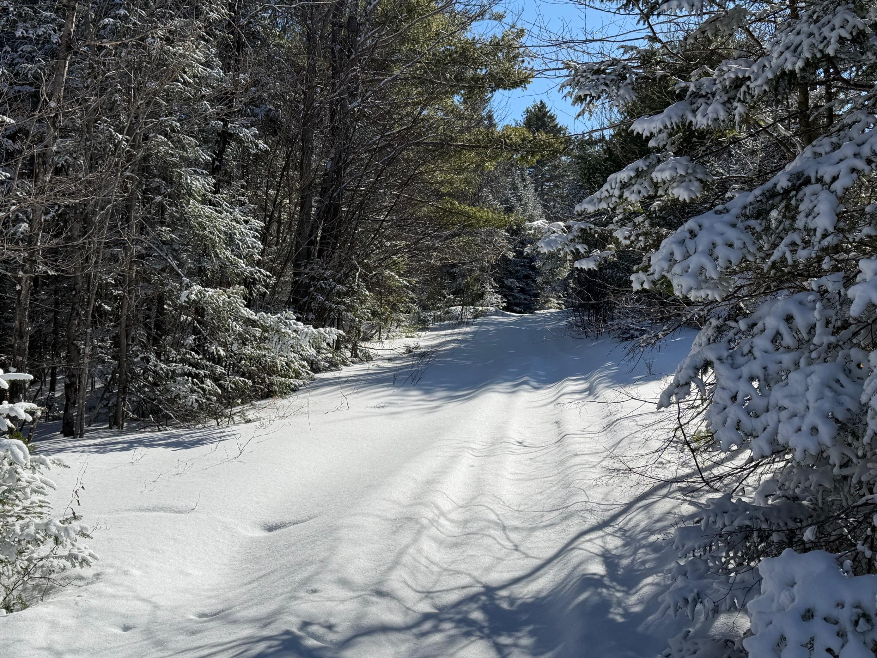 1 E Road Greenville, ME 04441 - Photo 6 of 19 IMG_0044