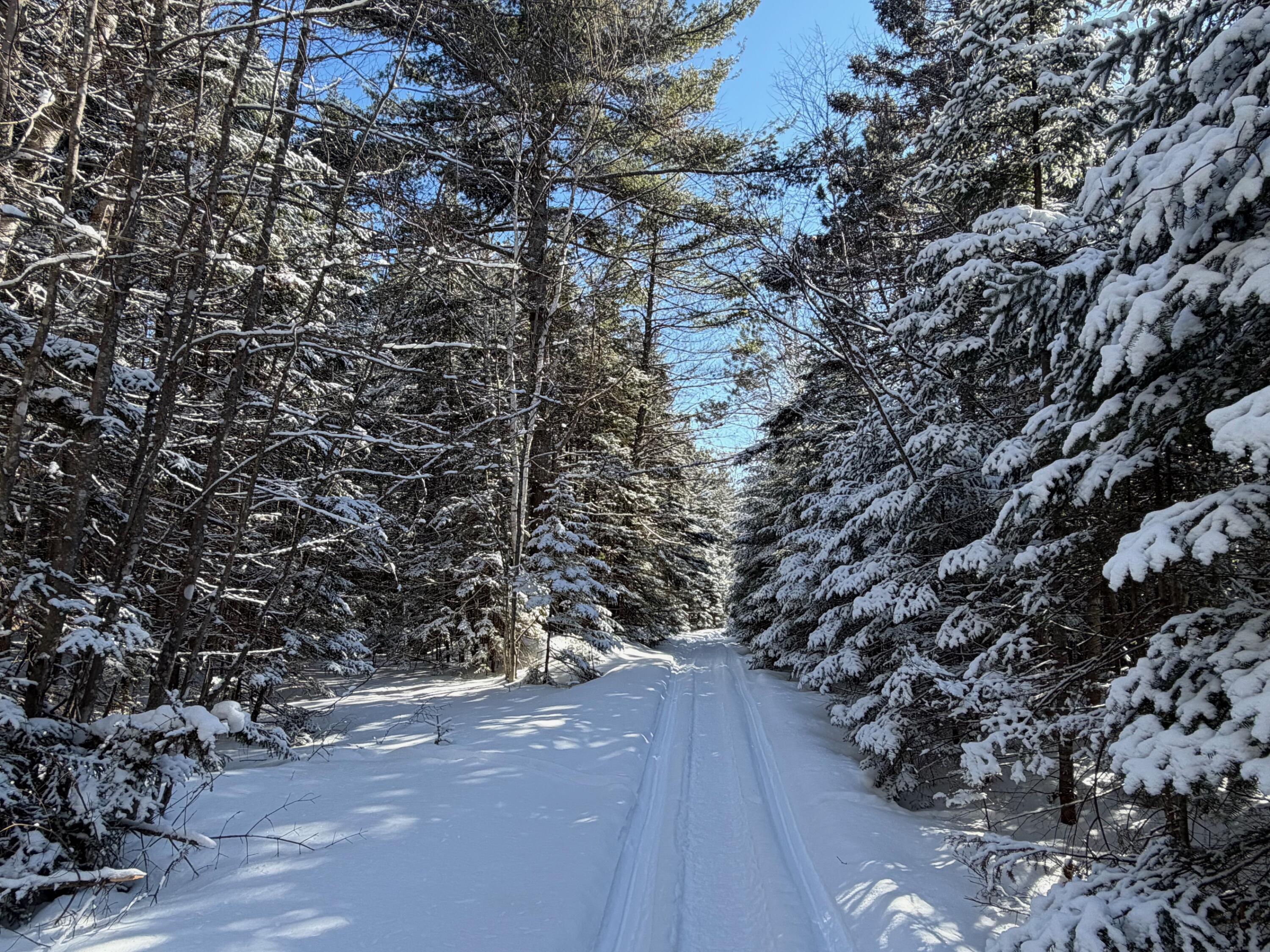 1 E Road Greenville, ME 04441 - Photo 8 of 19 IMG_0059