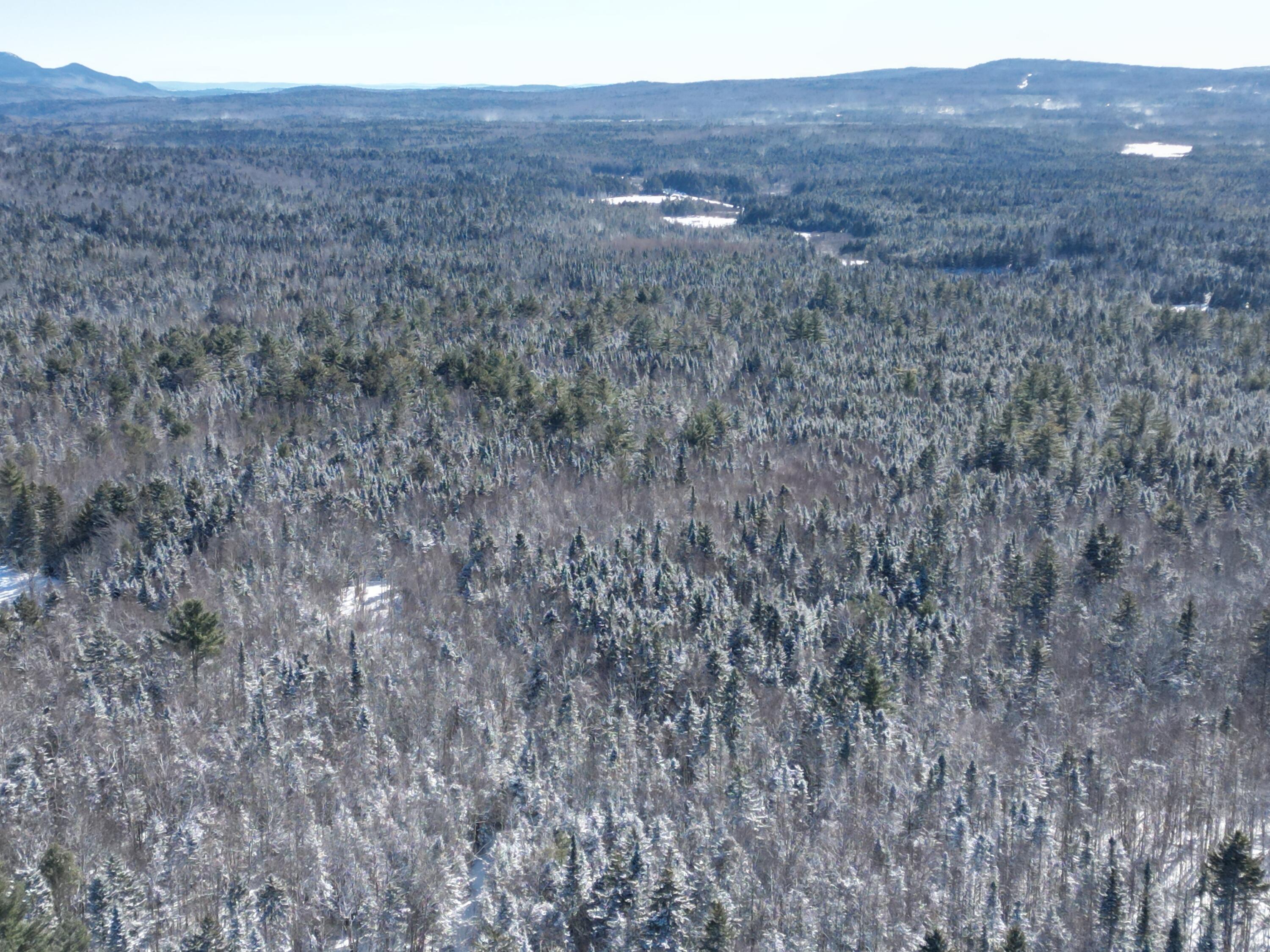 1 E Road Greenville, ME 04441 - Photo 9 of 19 DJI_0650