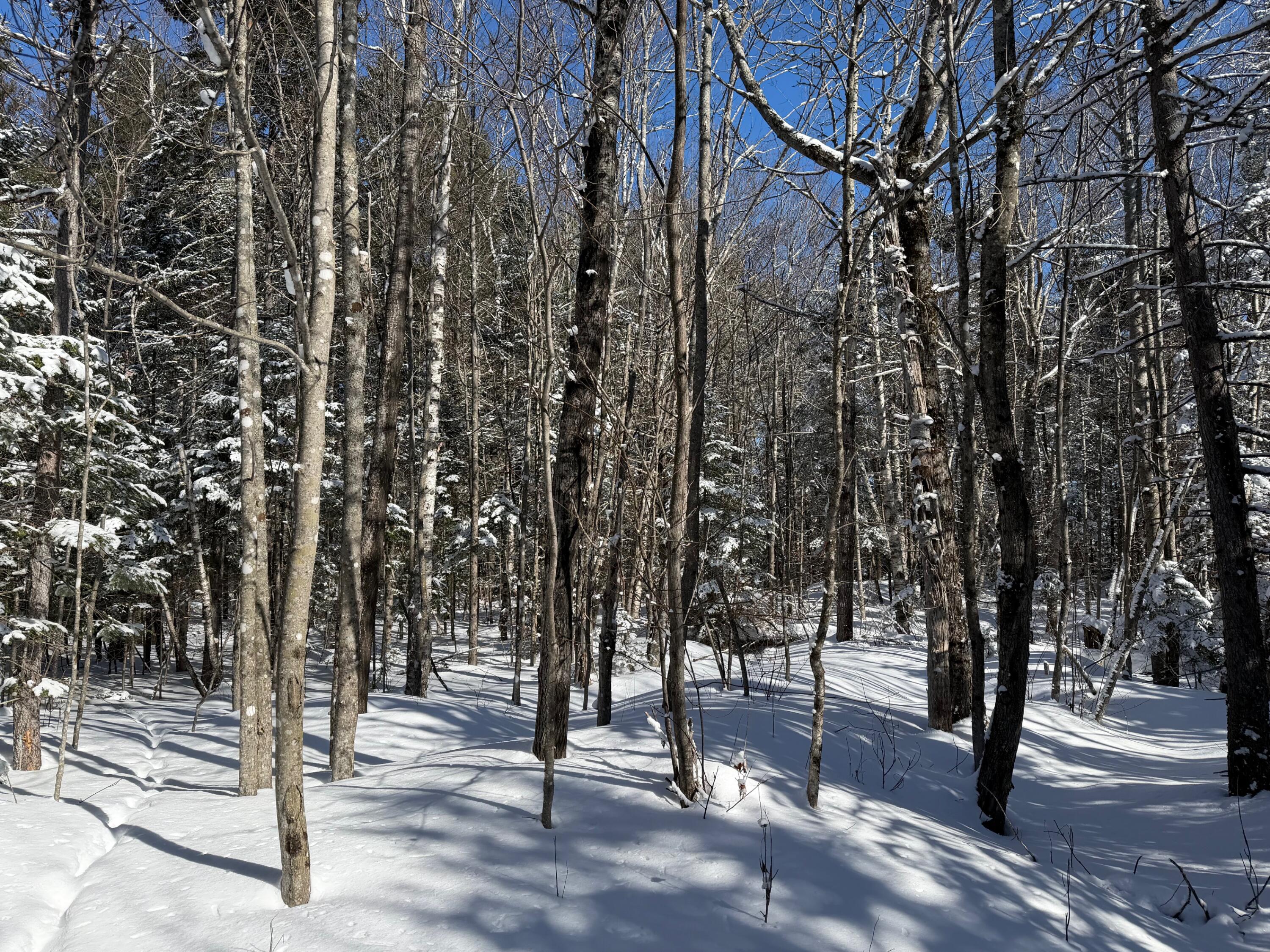 1 E Road Greenville, ME 04441 - Photo 10 of 19 IMG_0052