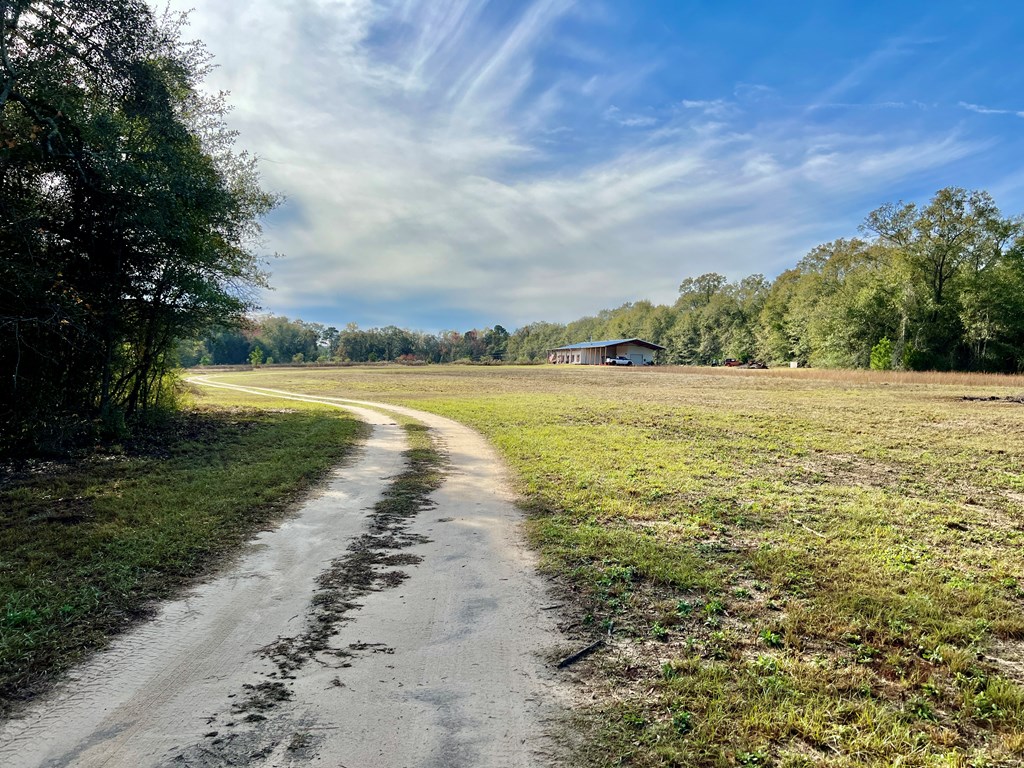 1112 Chestnutt Road Slocomb, AL 36375 - Photo 36 of 53