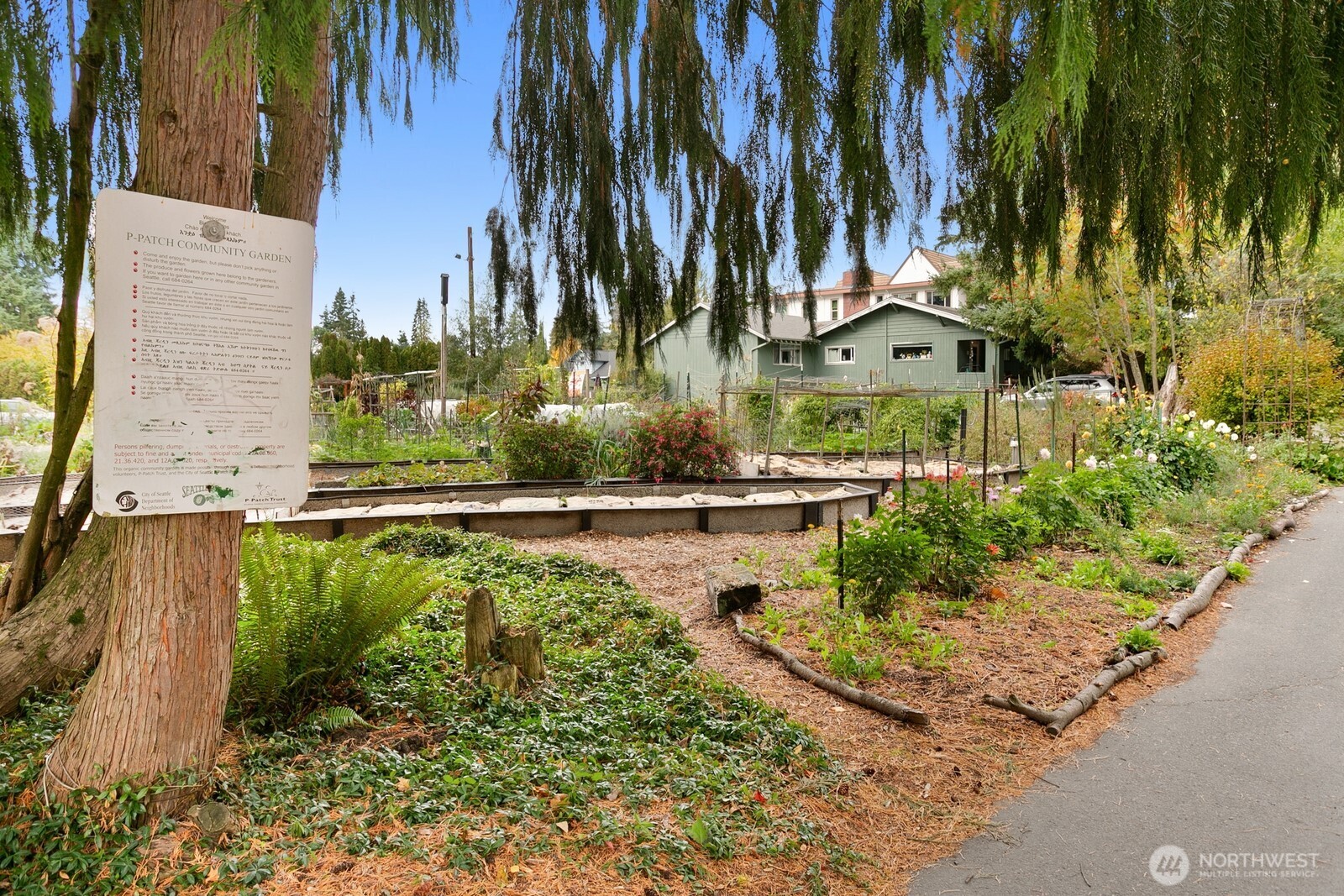2356 North 130th Street Seattle, WA 98133 - Photo 26 of 29