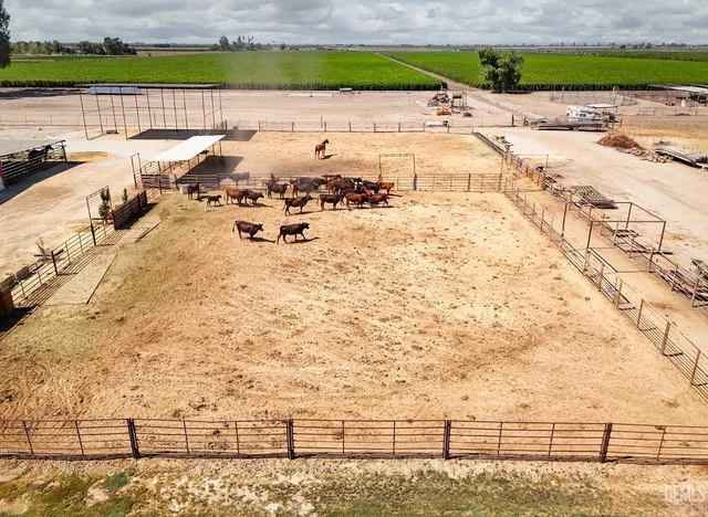a view of a yard in front of a house with large trees