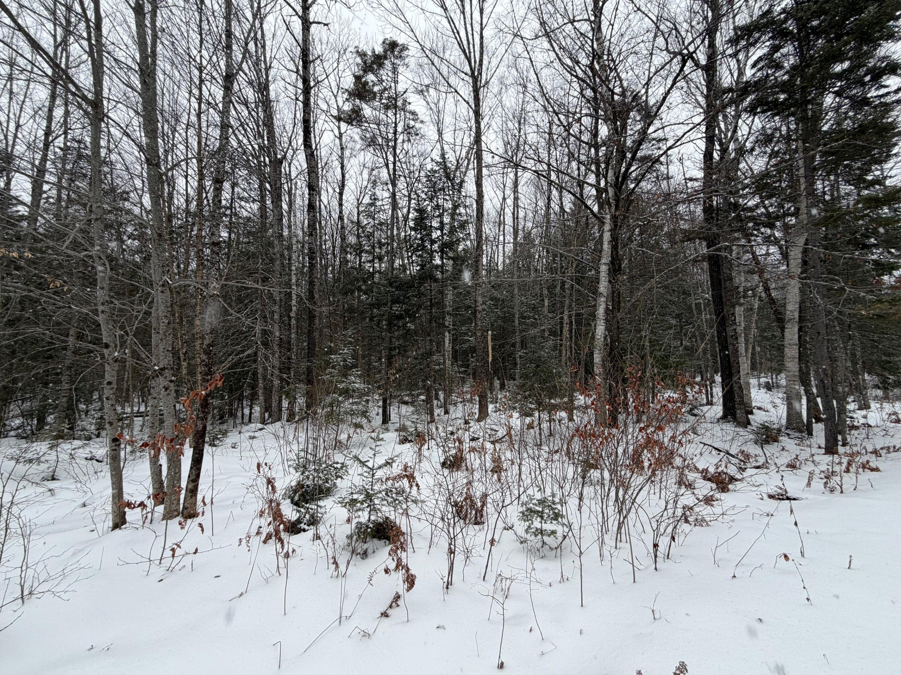 20 Compromise Drive Lagrange, ME 04453 - Photo 9 of 15 9