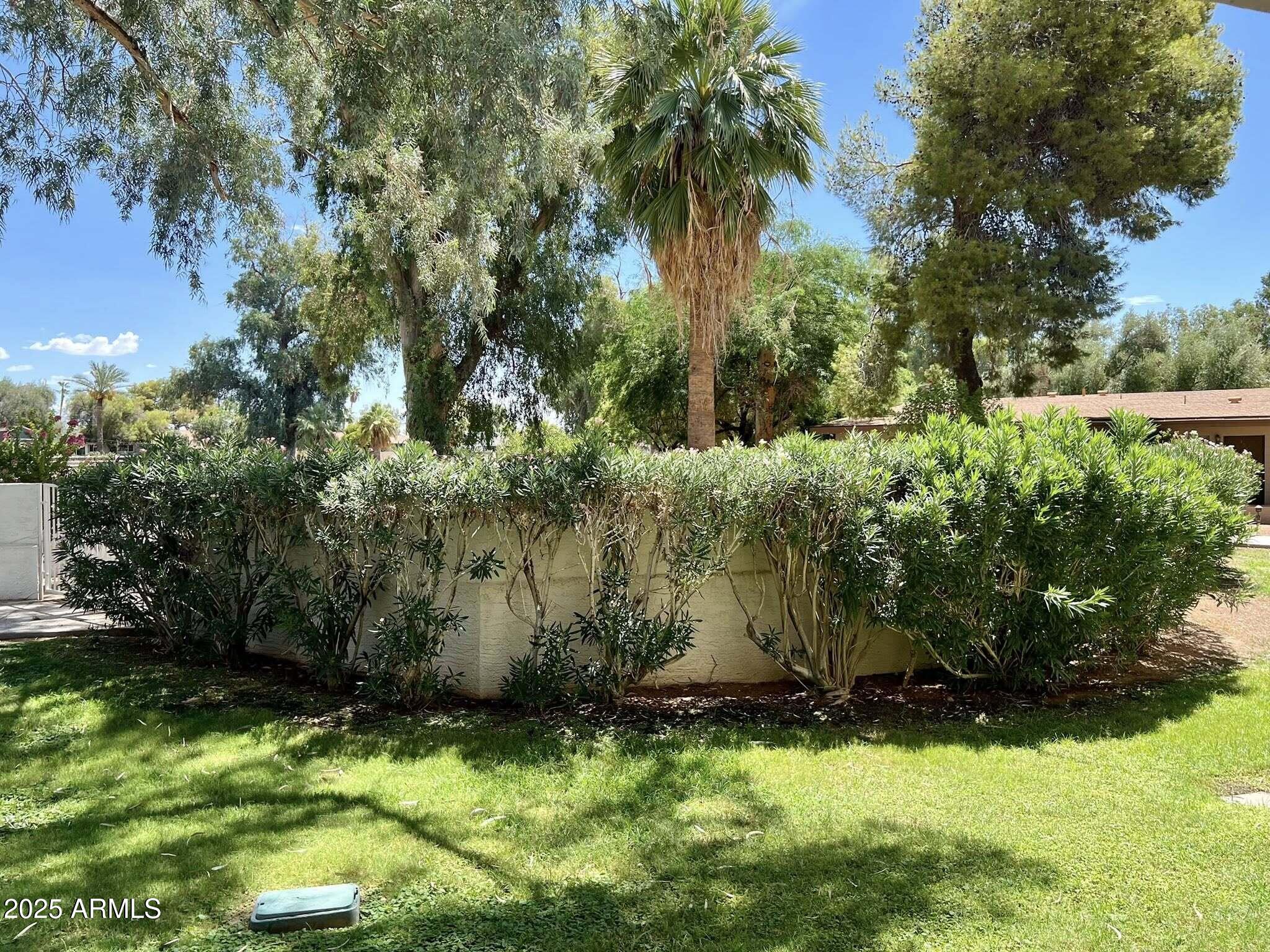 709 South Power Road, Unit 107 Mesa, AZ 85206 - Photo 10 of 26 a view of a garden