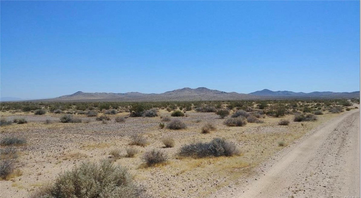 a view of a dry yard with mountains in the background