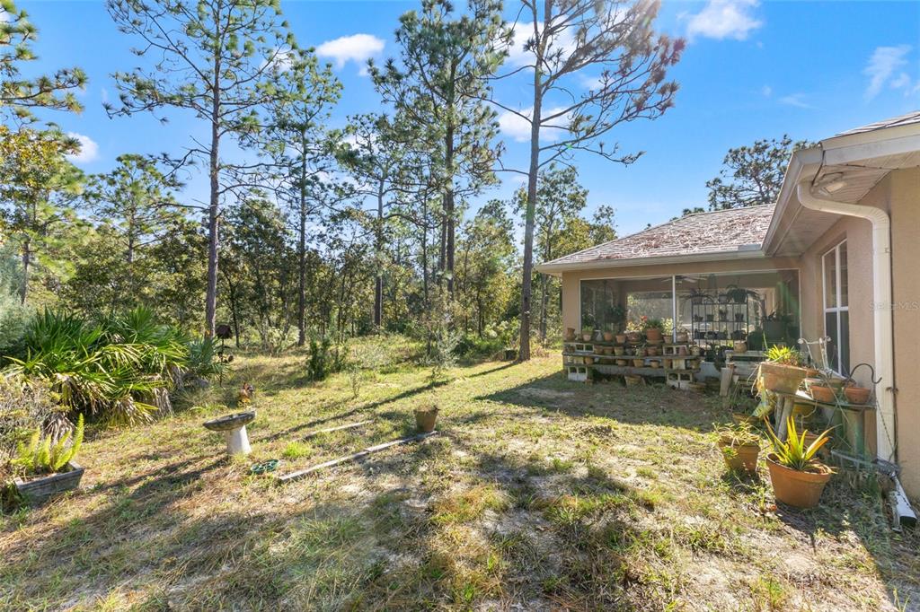 5 Boxleaf Court Homosassa, FL 34446 - Photo 28 of 58 a view of a house with backyard