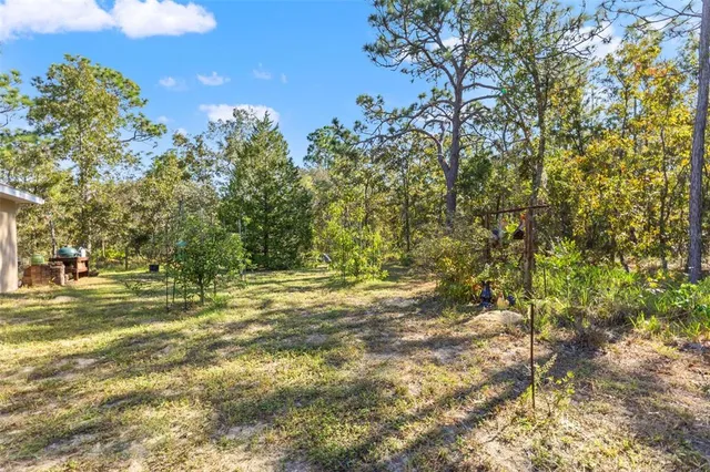 a view of a lush green field