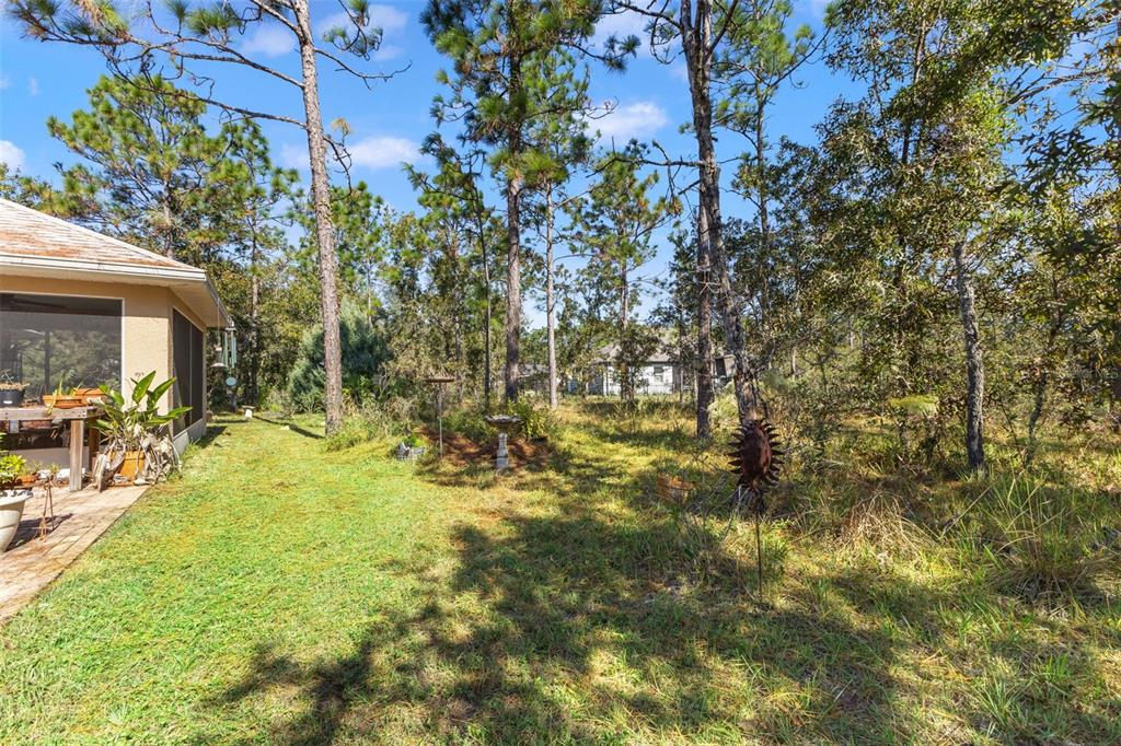 5 Boxleaf Court Homosassa, FL 34446 - Photo 45 of 58 a view of yard with swimming pool