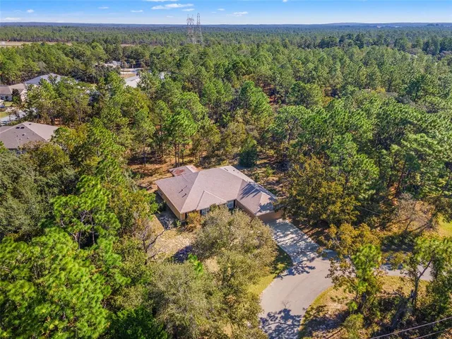 an aerial view of residential houses with outdoor space and trees